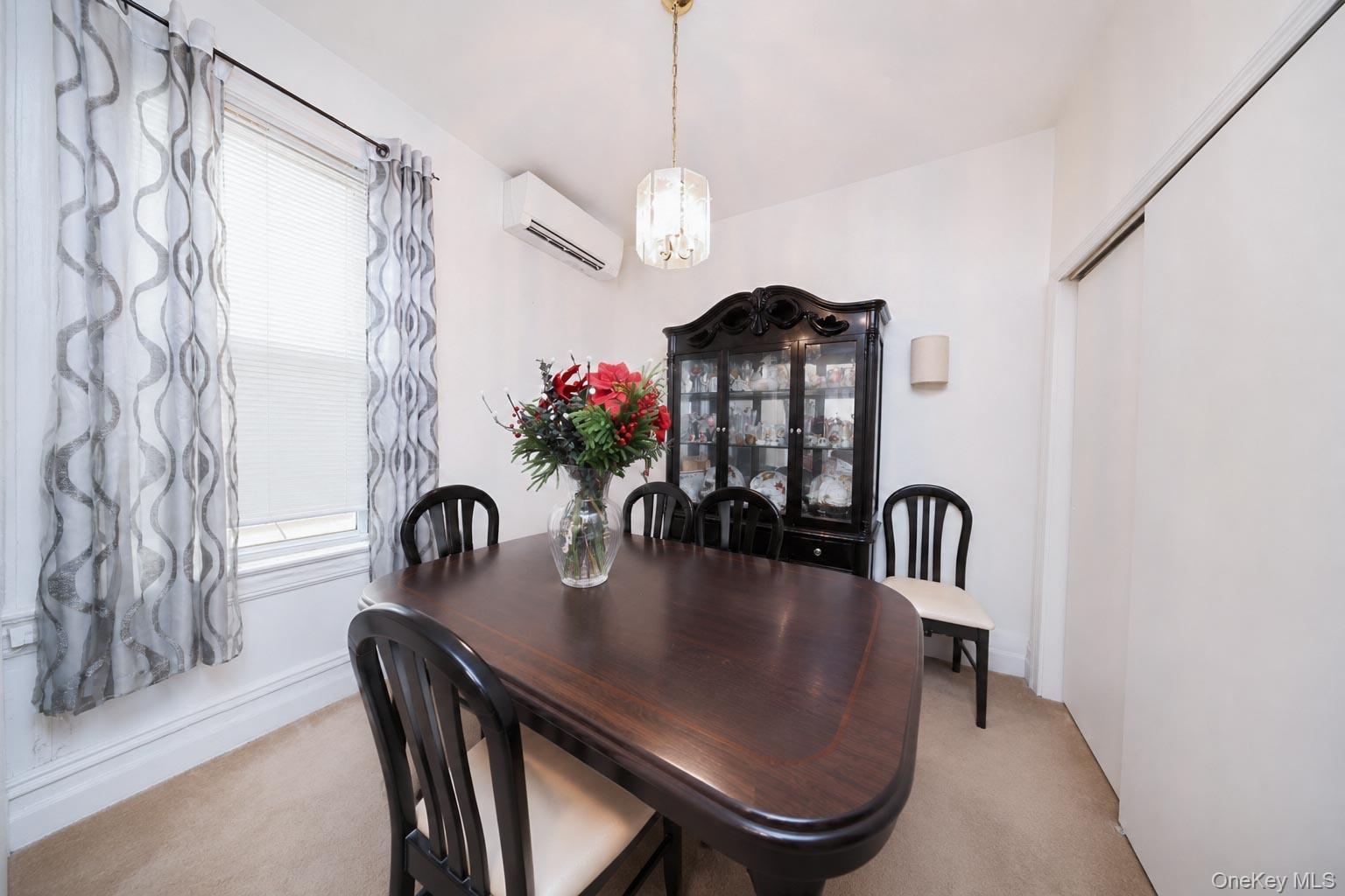 Single Family 70th Street Brooklyn, NY 11228, MLS-1018013-29