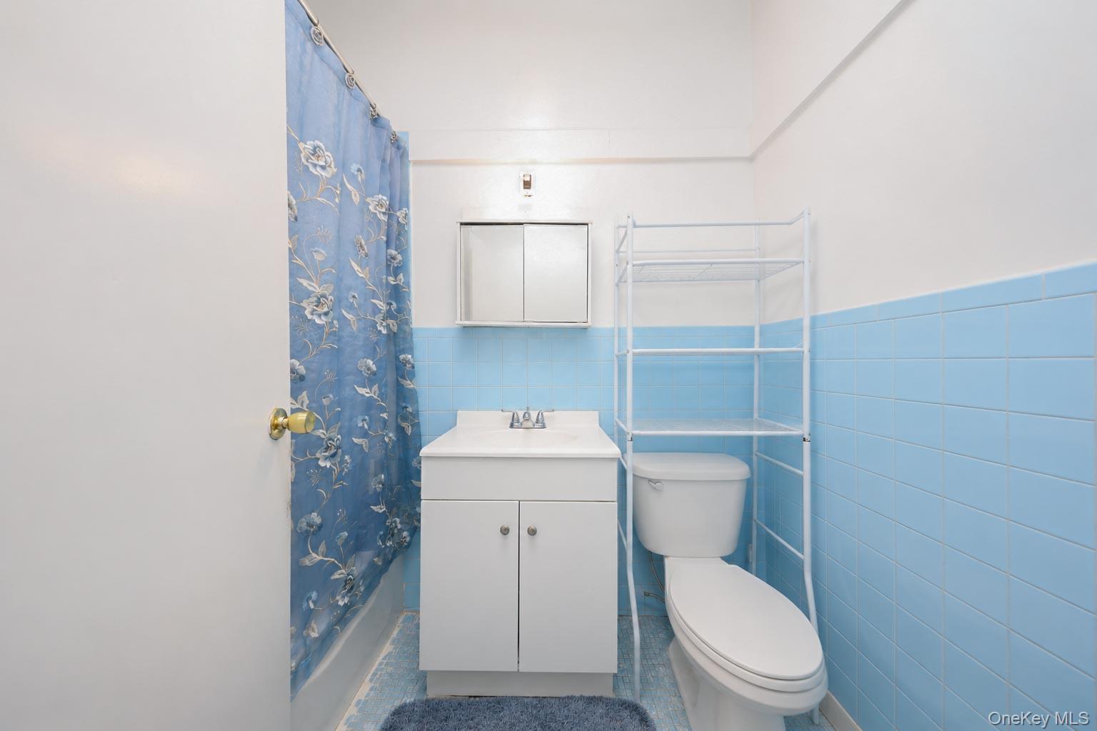 Single Family 70th Street Brooklyn, NY 11228, MLS-1018013-7