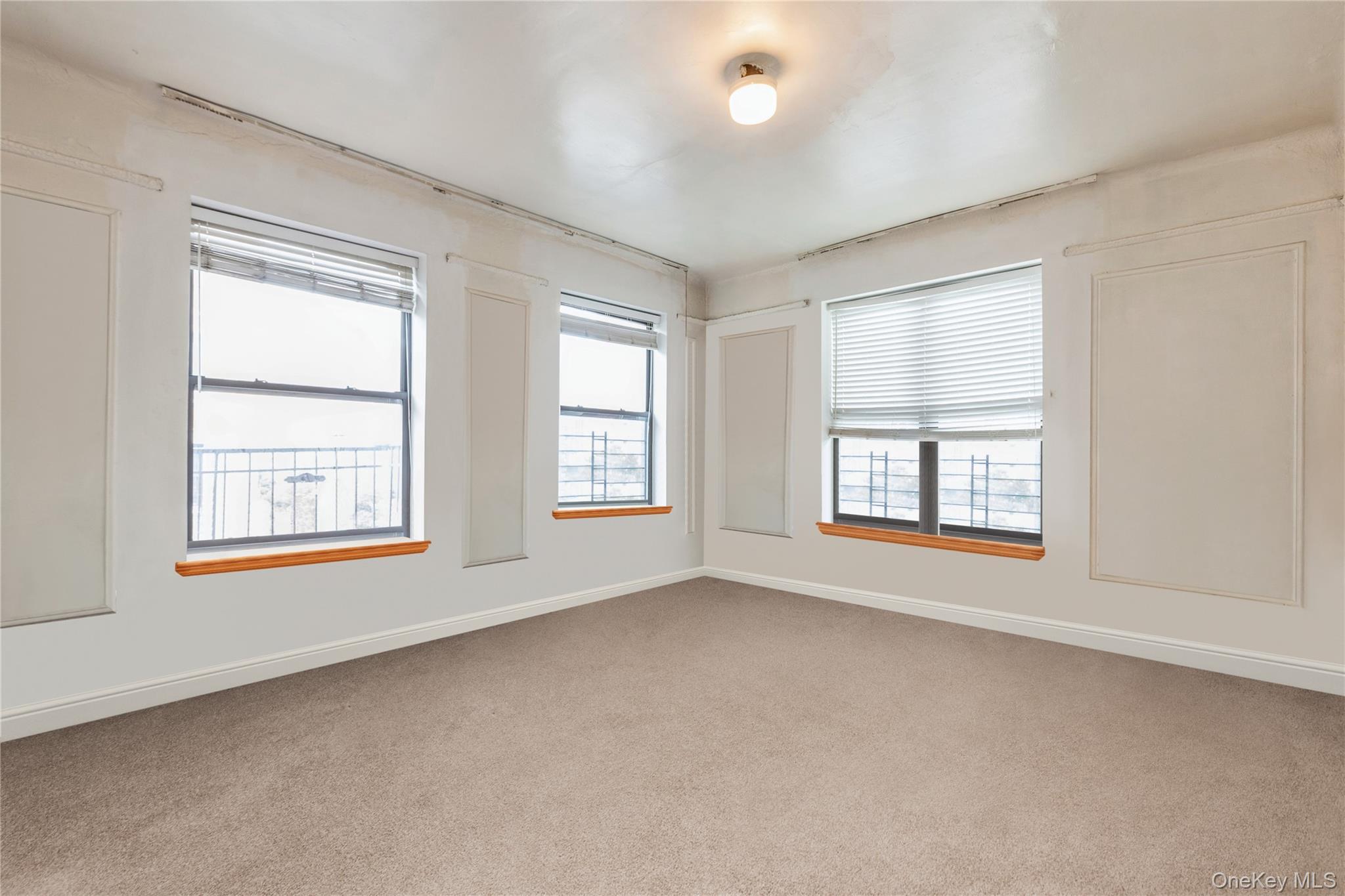 Coop W 141 Street Manhattan, NY 10030, MLS-1018032-3