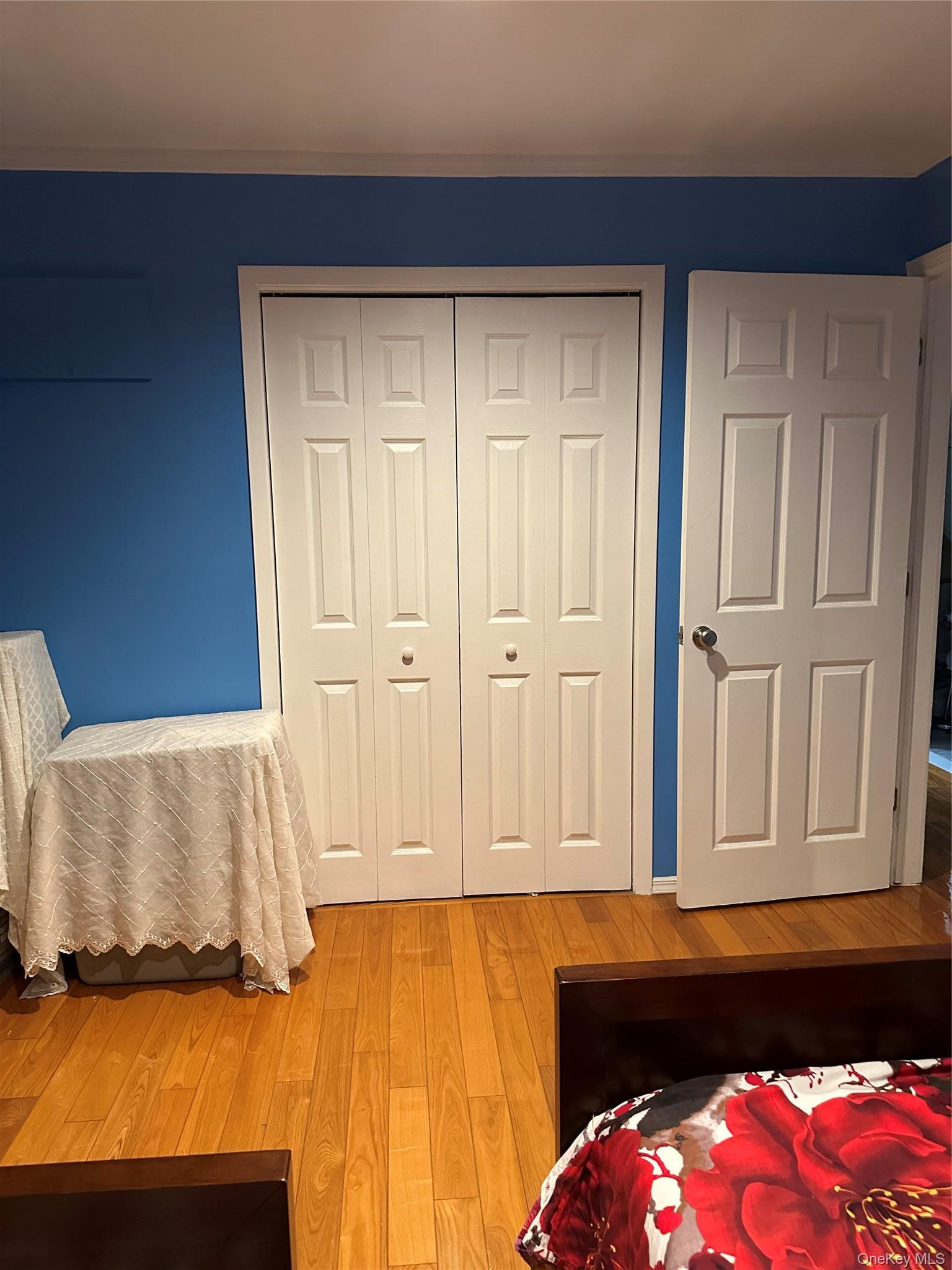 Single Family Clearstream Avenue  Nassau County, NY 11580, MLS-1018065-23