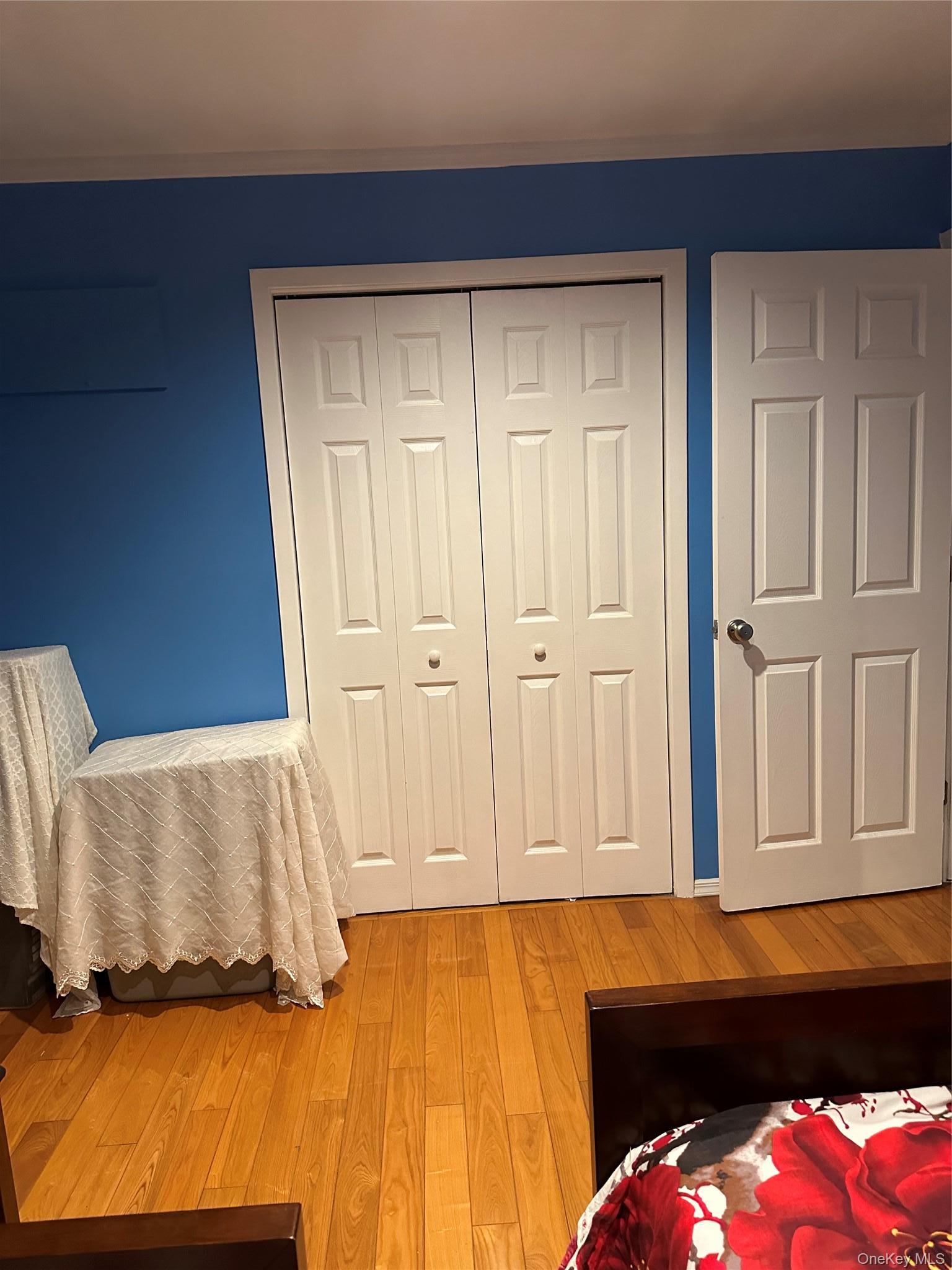 Single Family Clearstream Avenue  Nassau County, NY 11580, MLS-1018065-4