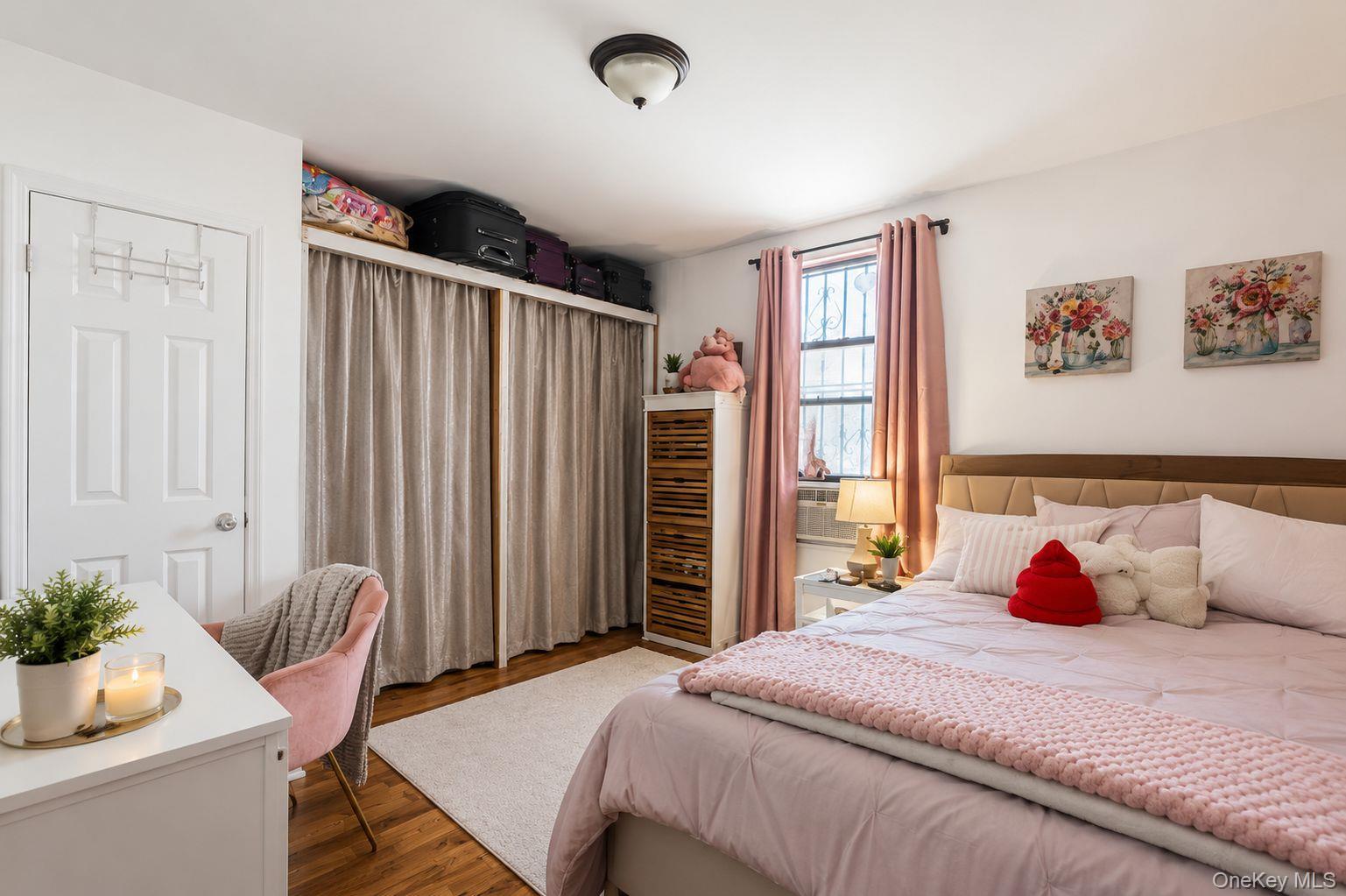 Single Family Snediker Avenue  Brooklyn, NY 11207, MLS-1018117-12