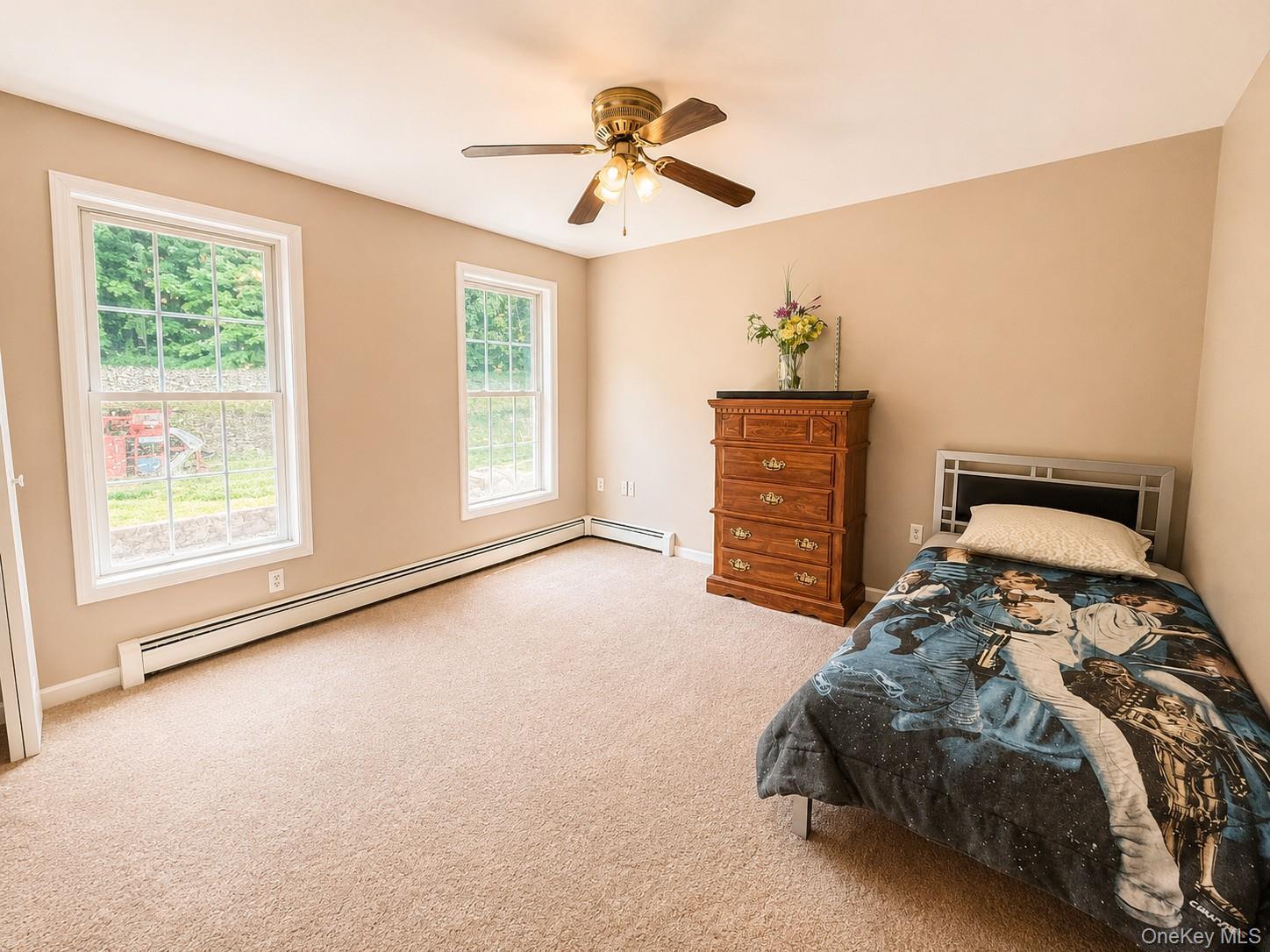 Single Family Mt Joy Road Orange County, NY 10941, MLS-1018190-24