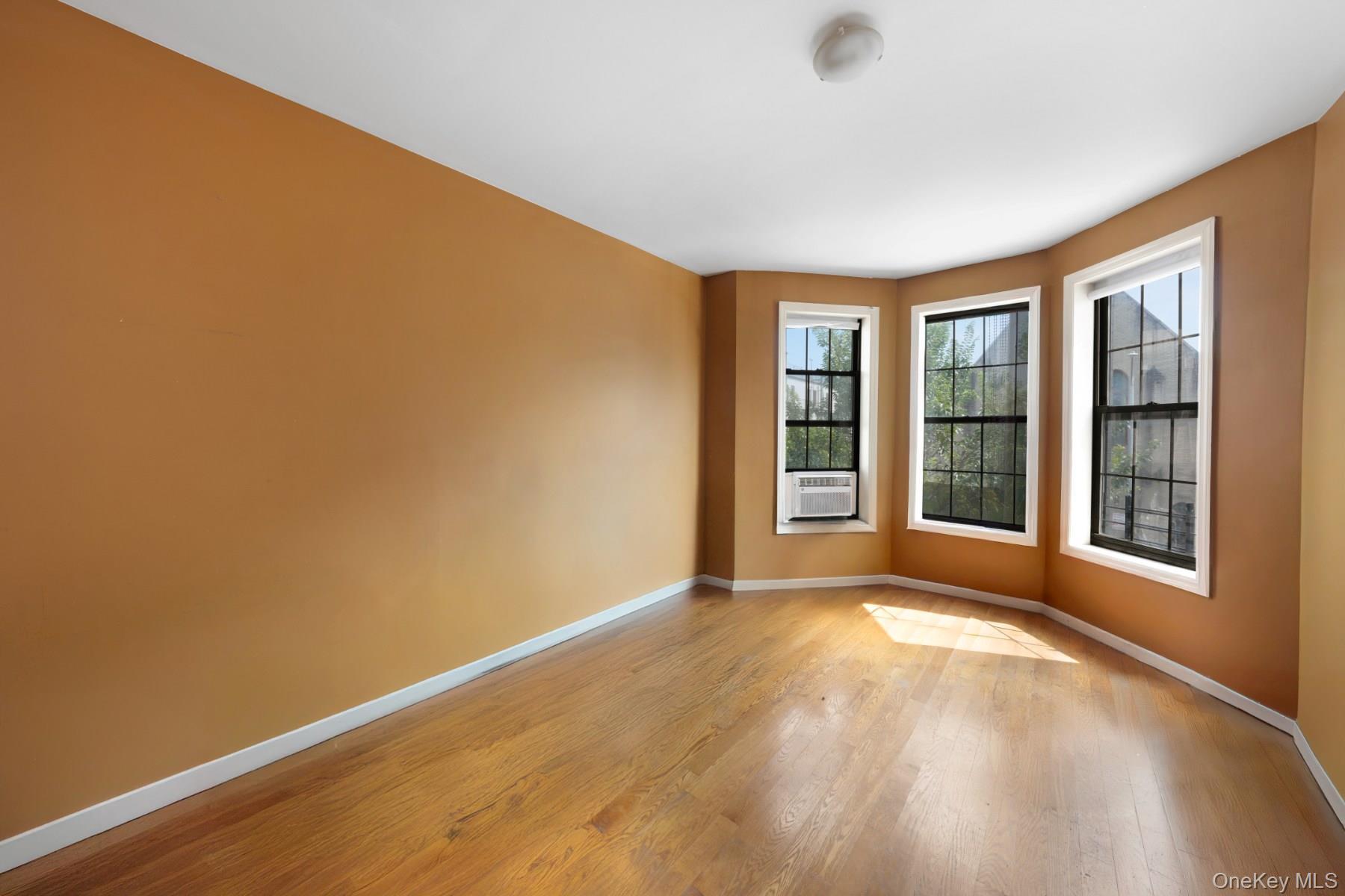 Single Family Bainbridge Street Brooklyn, NY 11233, MLS-1018198-17