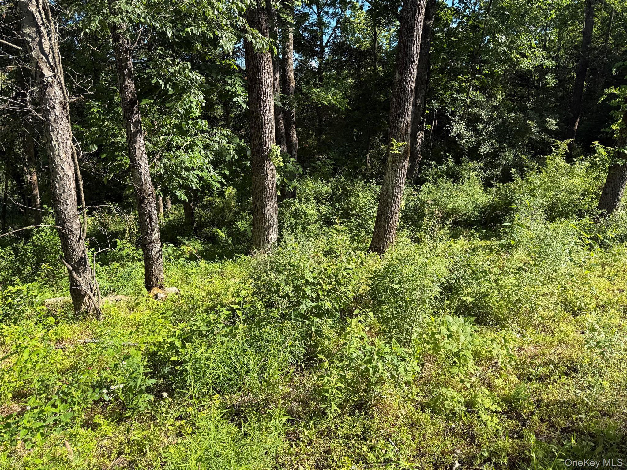 Single Family Walnut Hill Road Orange County, NY 10990, MLS-1018205-10