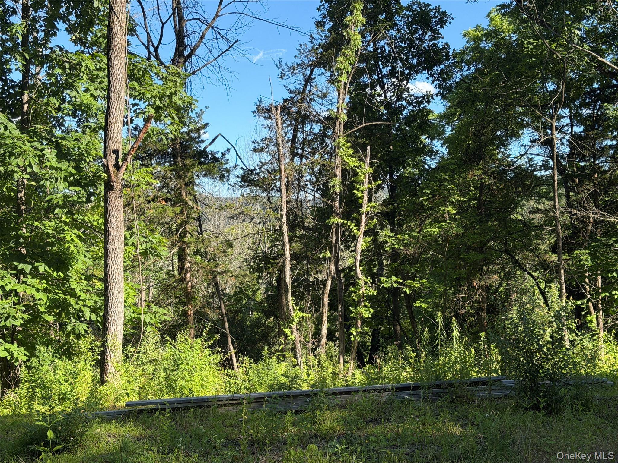 Single Family Walnut Hill Road Orange County, NY 10990, MLS-1018205-11