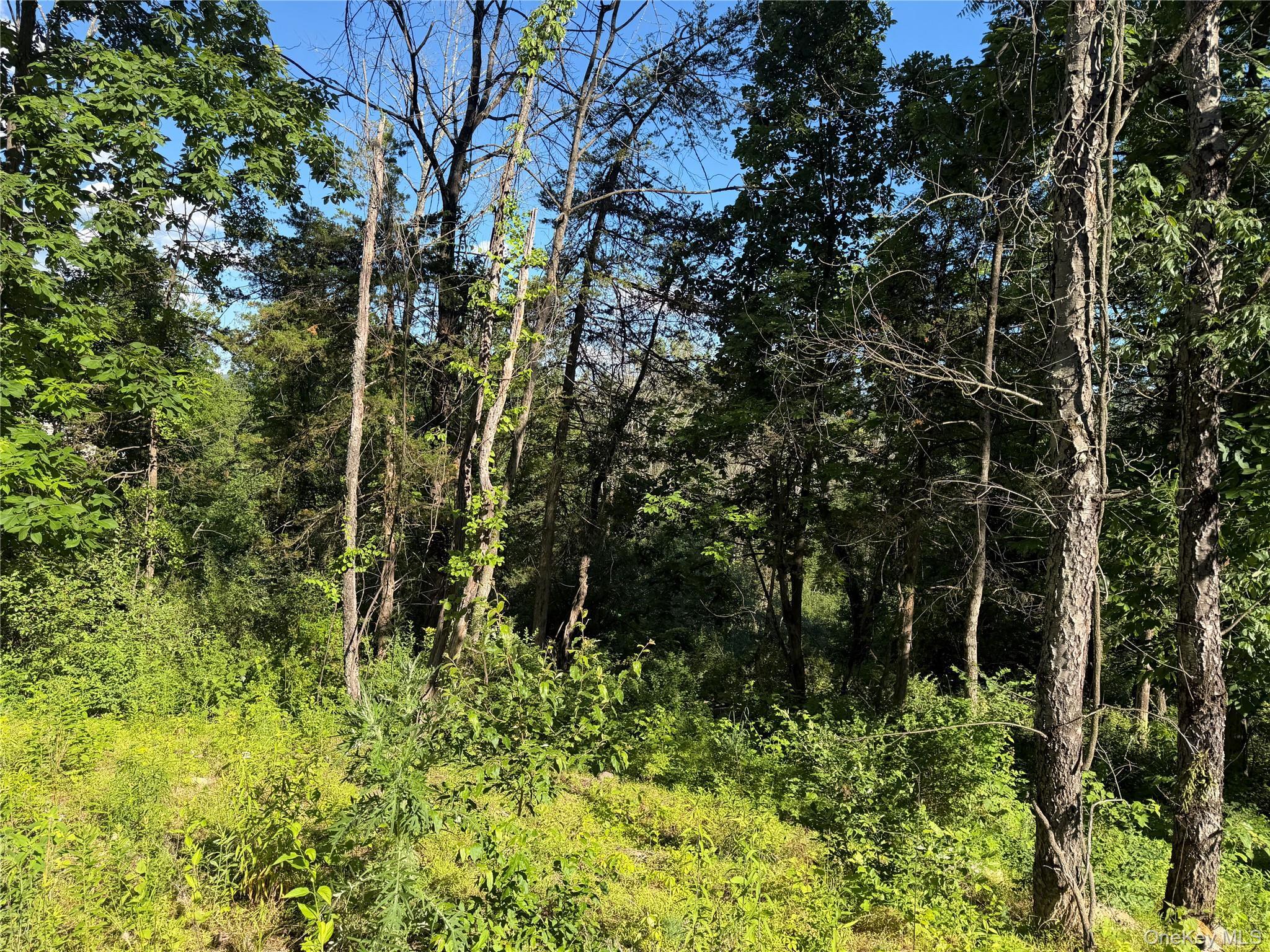Single Family Walnut Hill Road Orange County, NY 10990, MLS-1018205-7