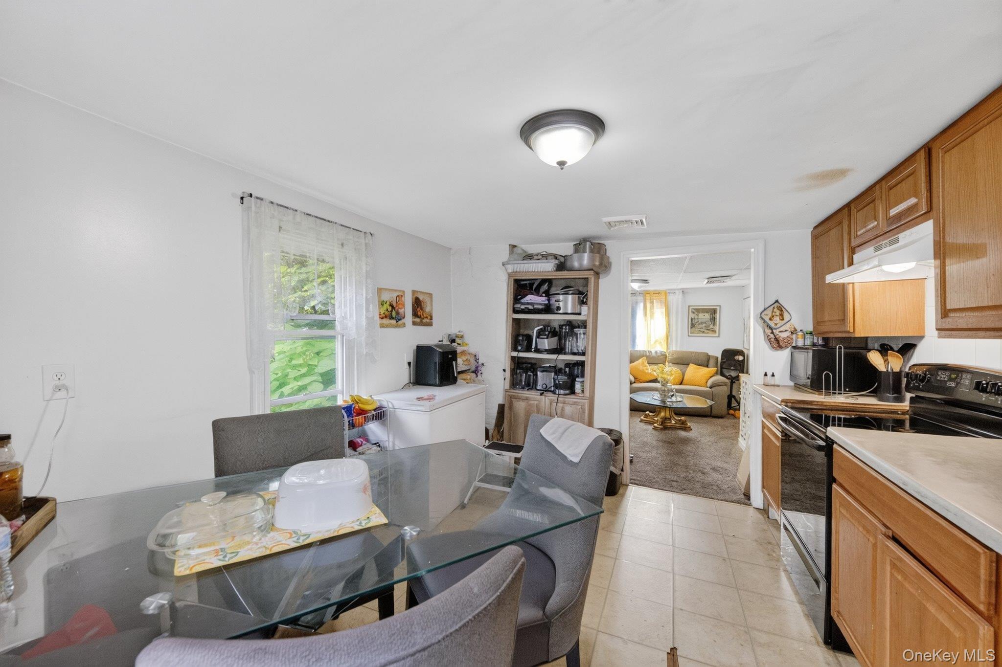 Single Family Saint Lukes Place Dutchess County, NY 12508, MLS-1018211-20