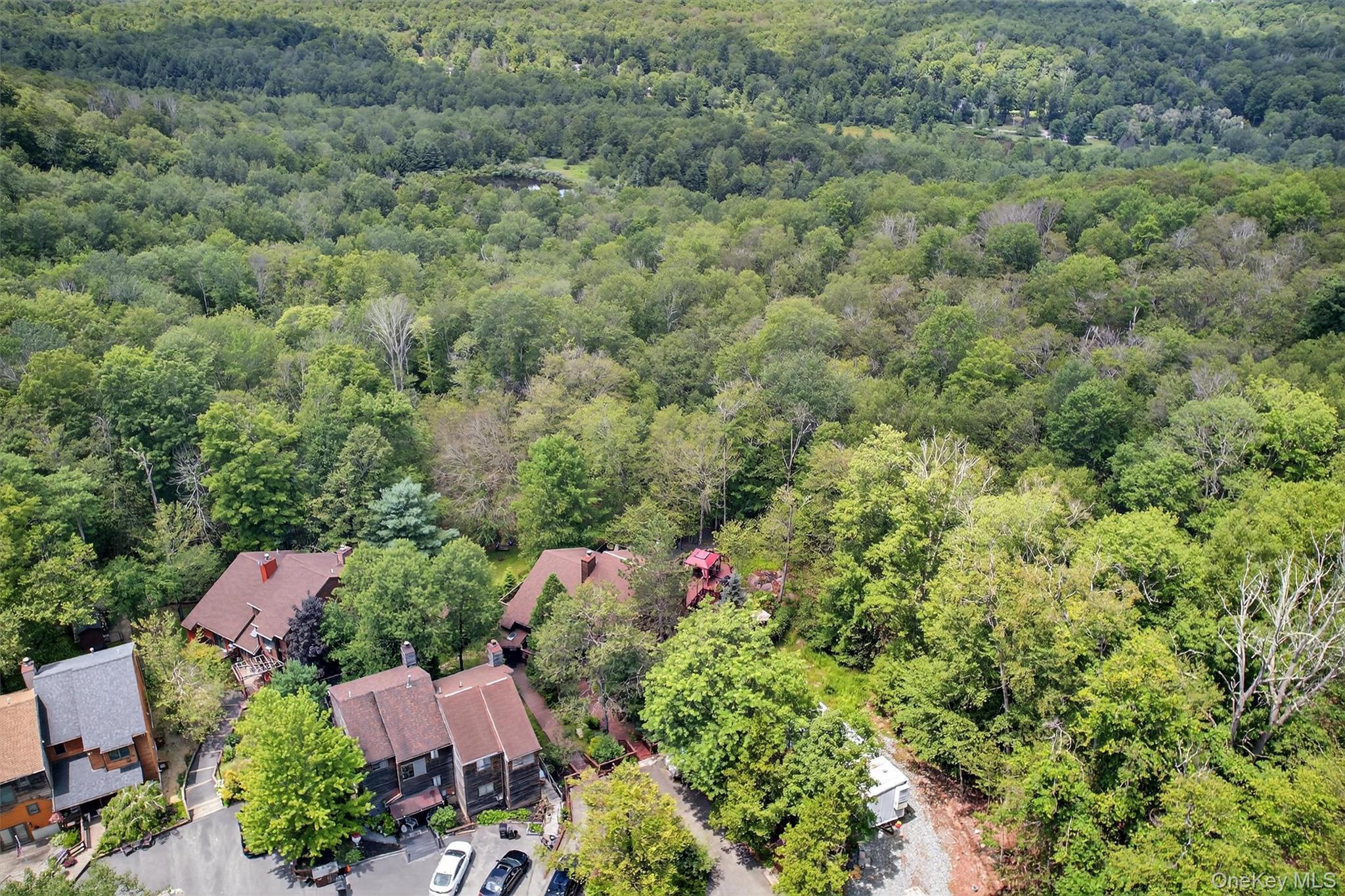 Single Family Meadowlark Lane  Sullivan County, NY 12789, MLS-1018219-13
