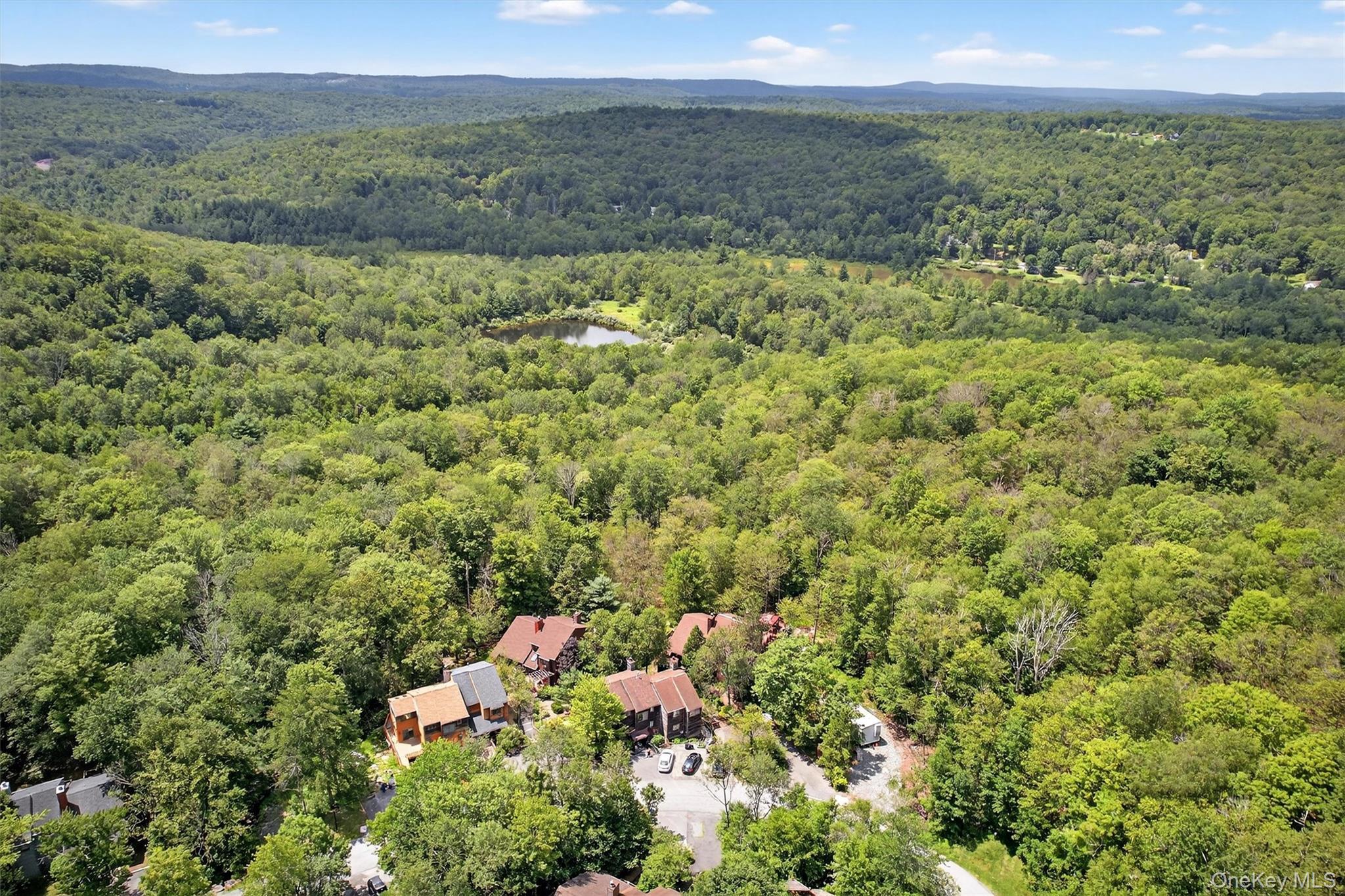 Single Family Meadowlark Lane  Sullivan County, NY 12789, MLS-1018219-14