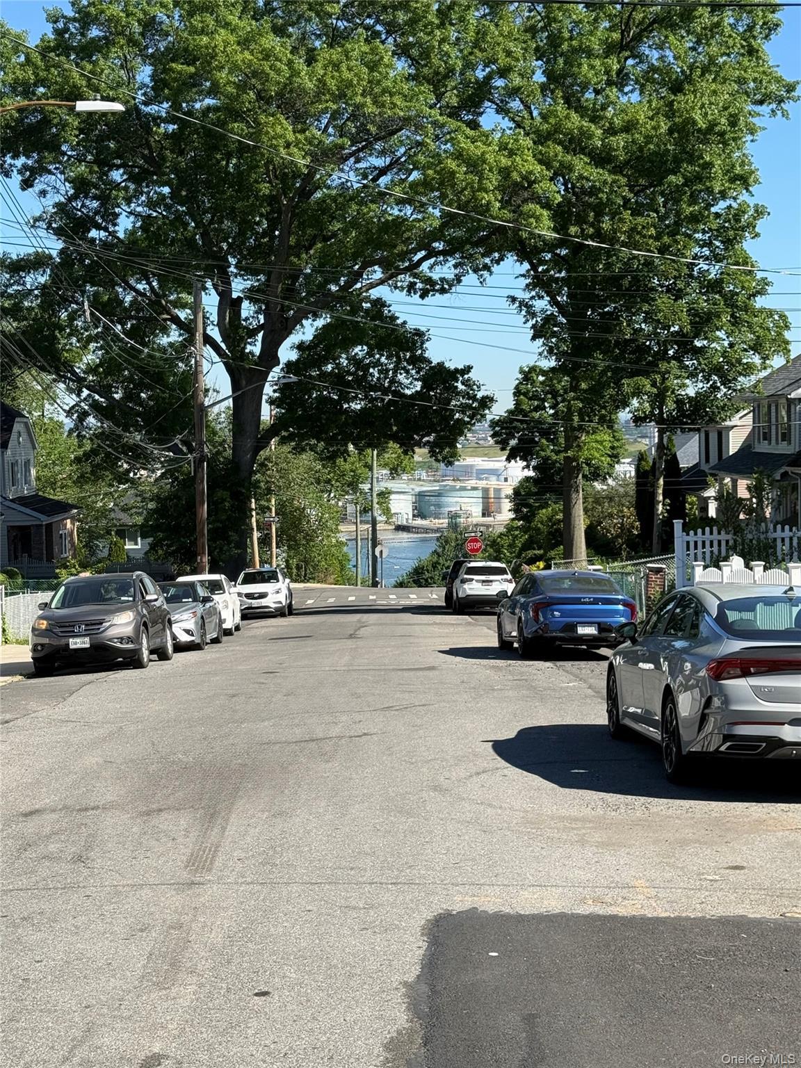 Single Family Highview Avenue Staten Island, NY 10301, MLS-1018242-30
