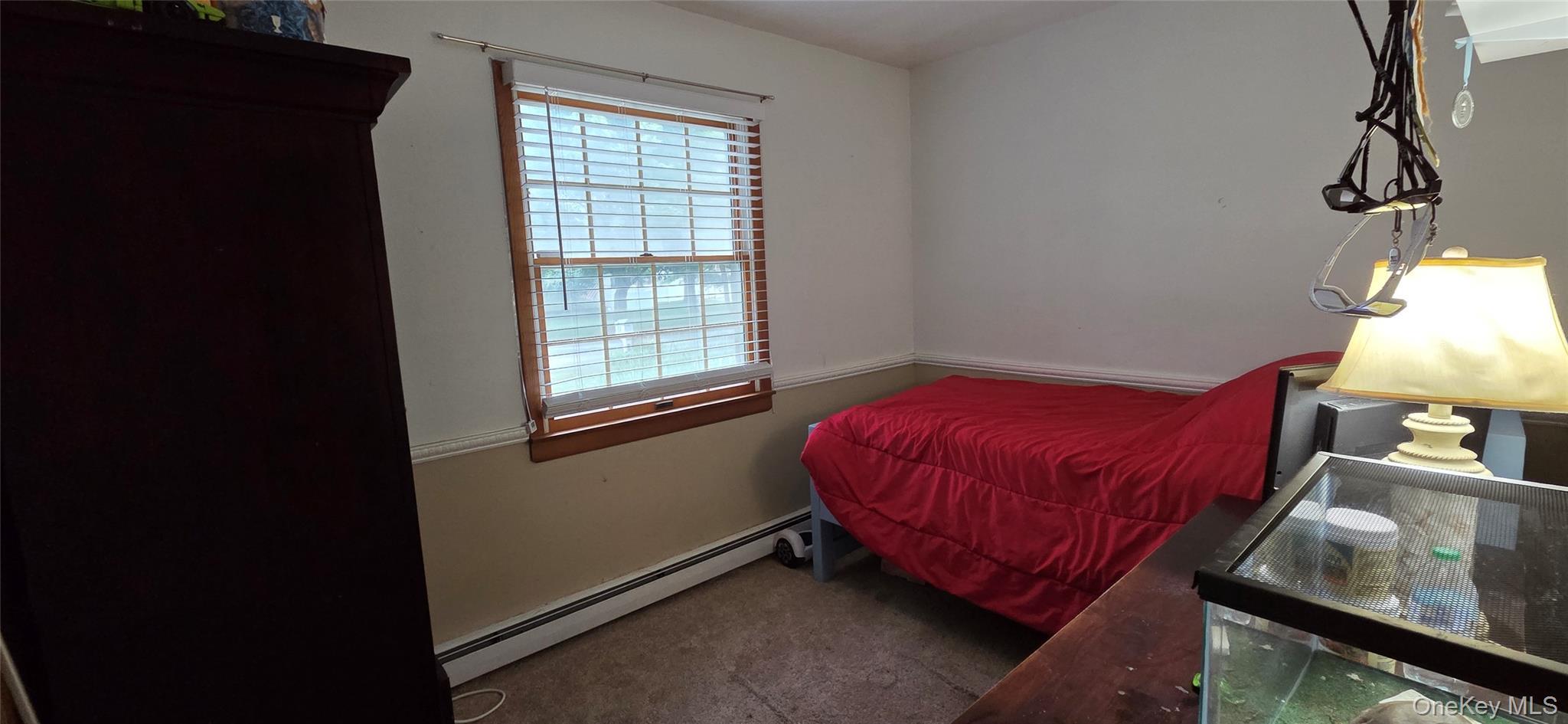 Single Family 13th Avenue Suffolk County, NY 11742, MLS-1018247-17