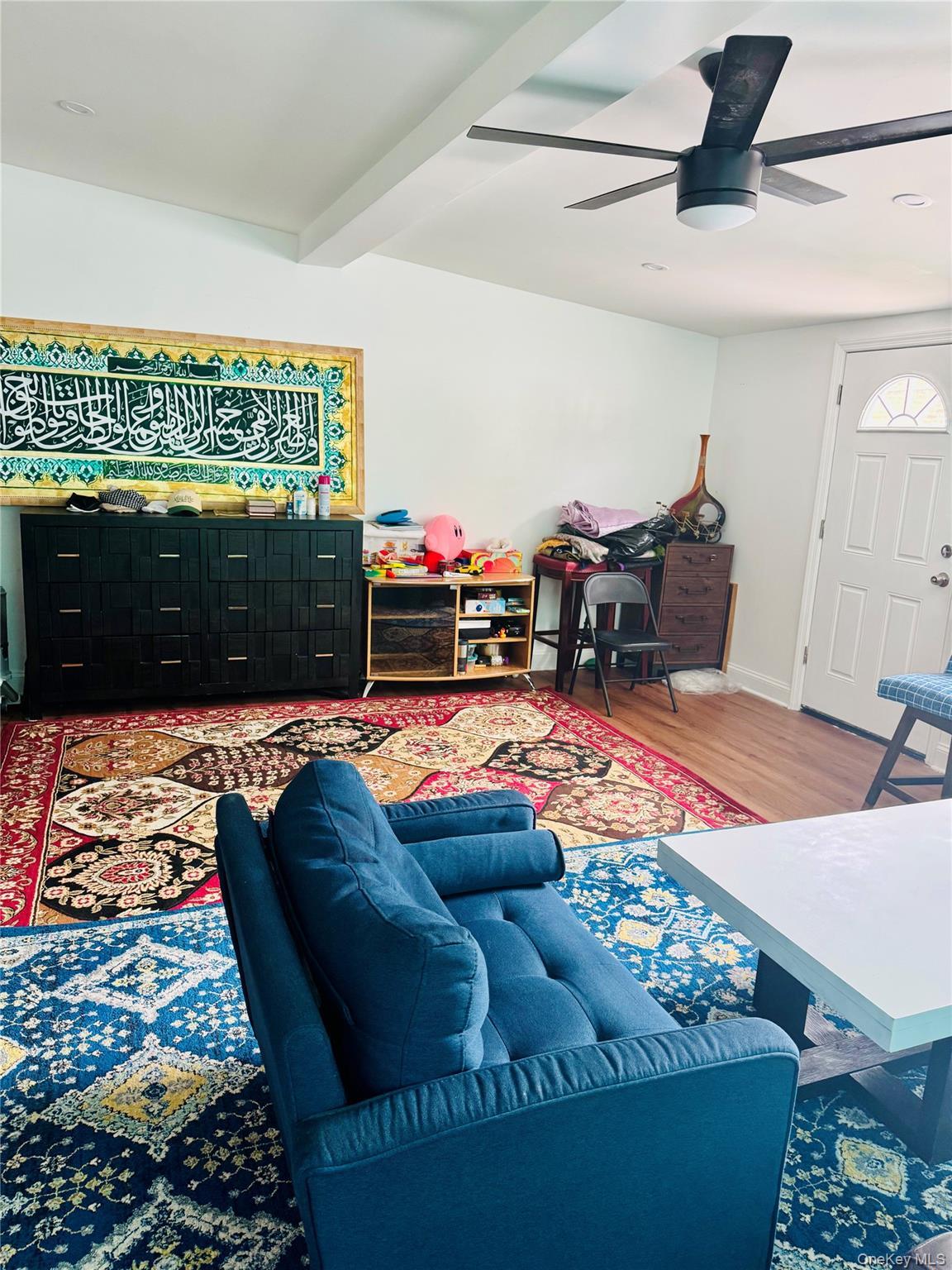 Single Family 135th Avenue Queens, NY 11420, MLS-1018283-20