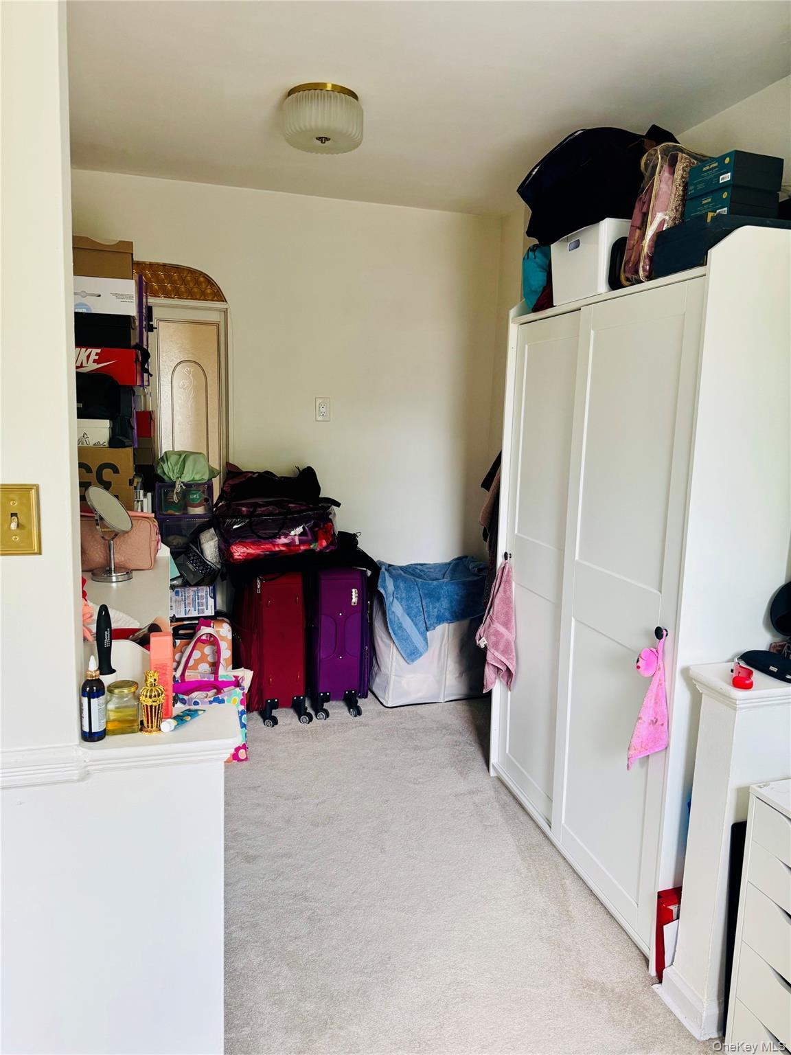 Single Family 135th Avenue Queens, NY 11420, MLS-1018283-26