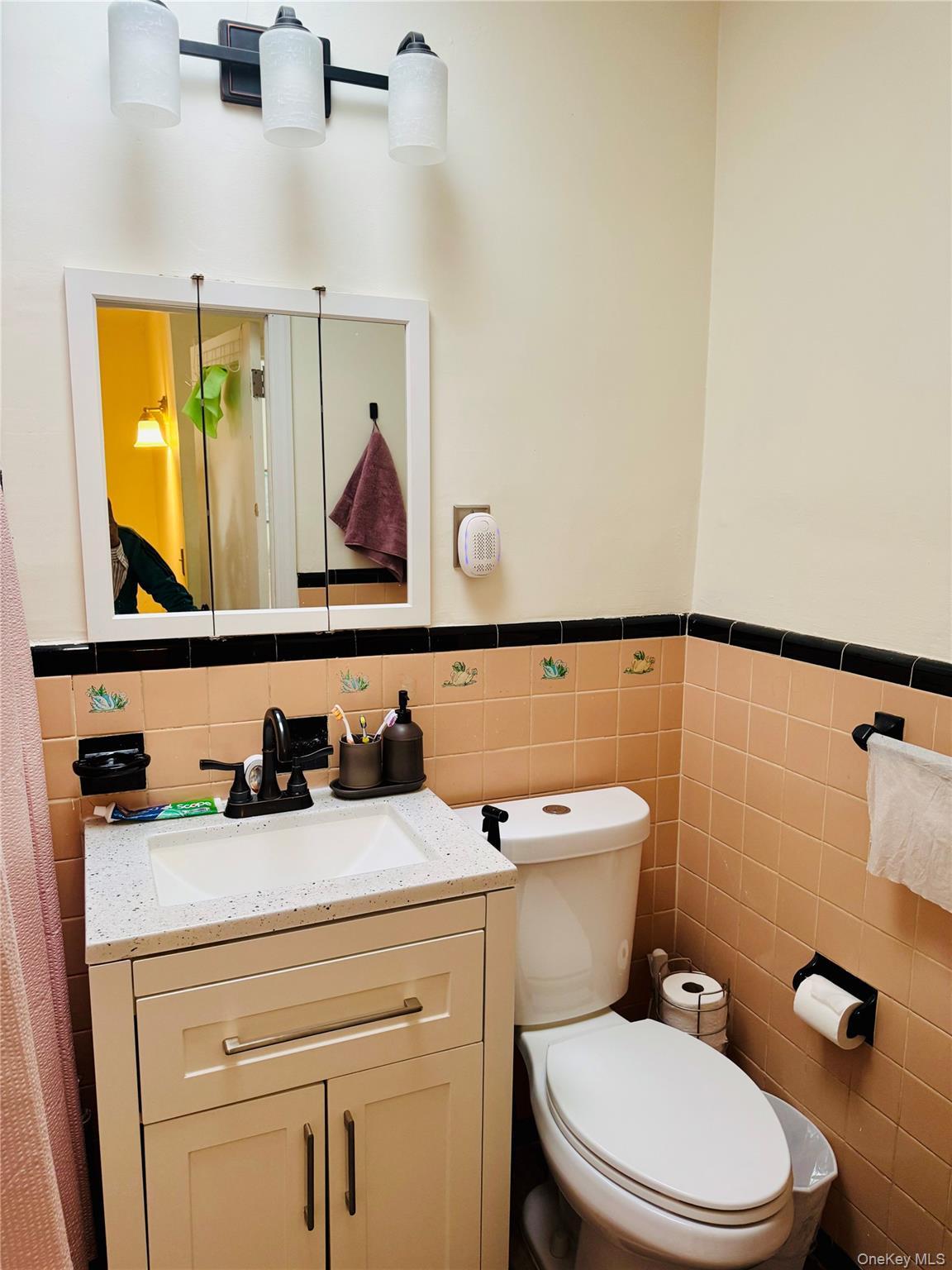 Single Family 135th Avenue Queens, NY 11420, MLS-1018283-30