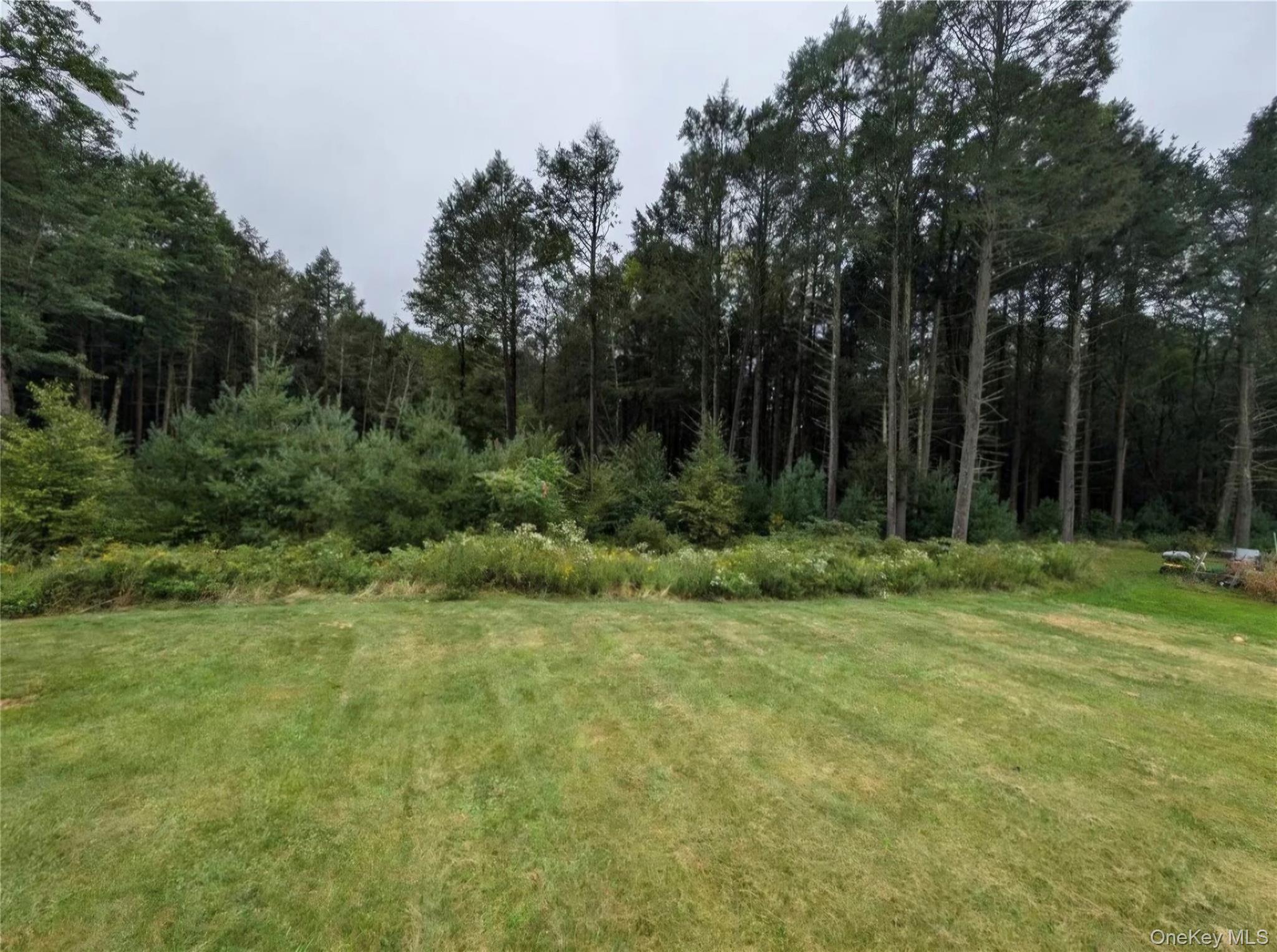 Single Family Gardenia Drive Sullivan County, NY 12701, MLS-1018292-14