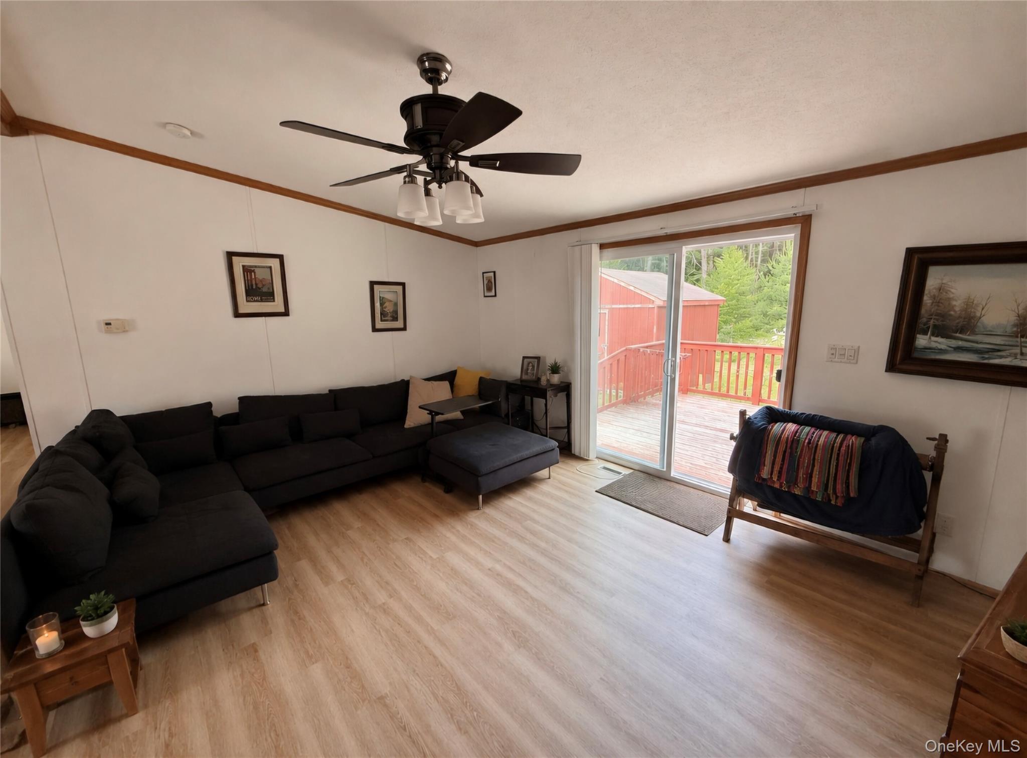 Single Family Gardenia Drive Sullivan County, NY 12701, MLS-1018292-7