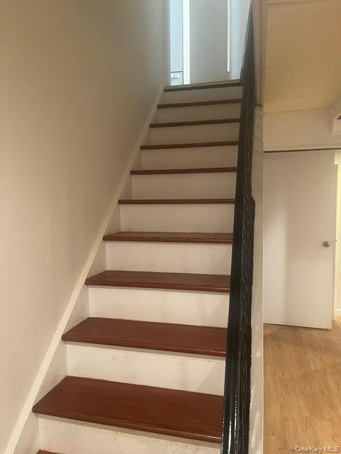 Single Family Richland Avenue Queens, NY 11364, MLS-1018347-39