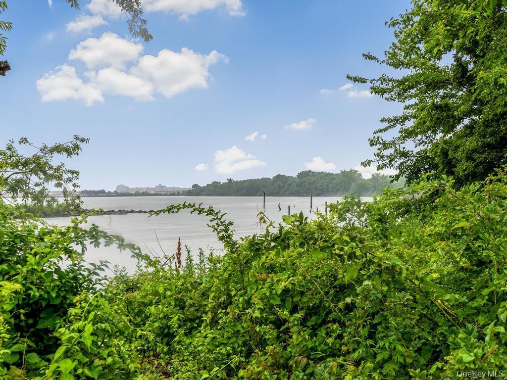 Single Family Harding Park Bronx, NY 10473, MLS-1018381-6