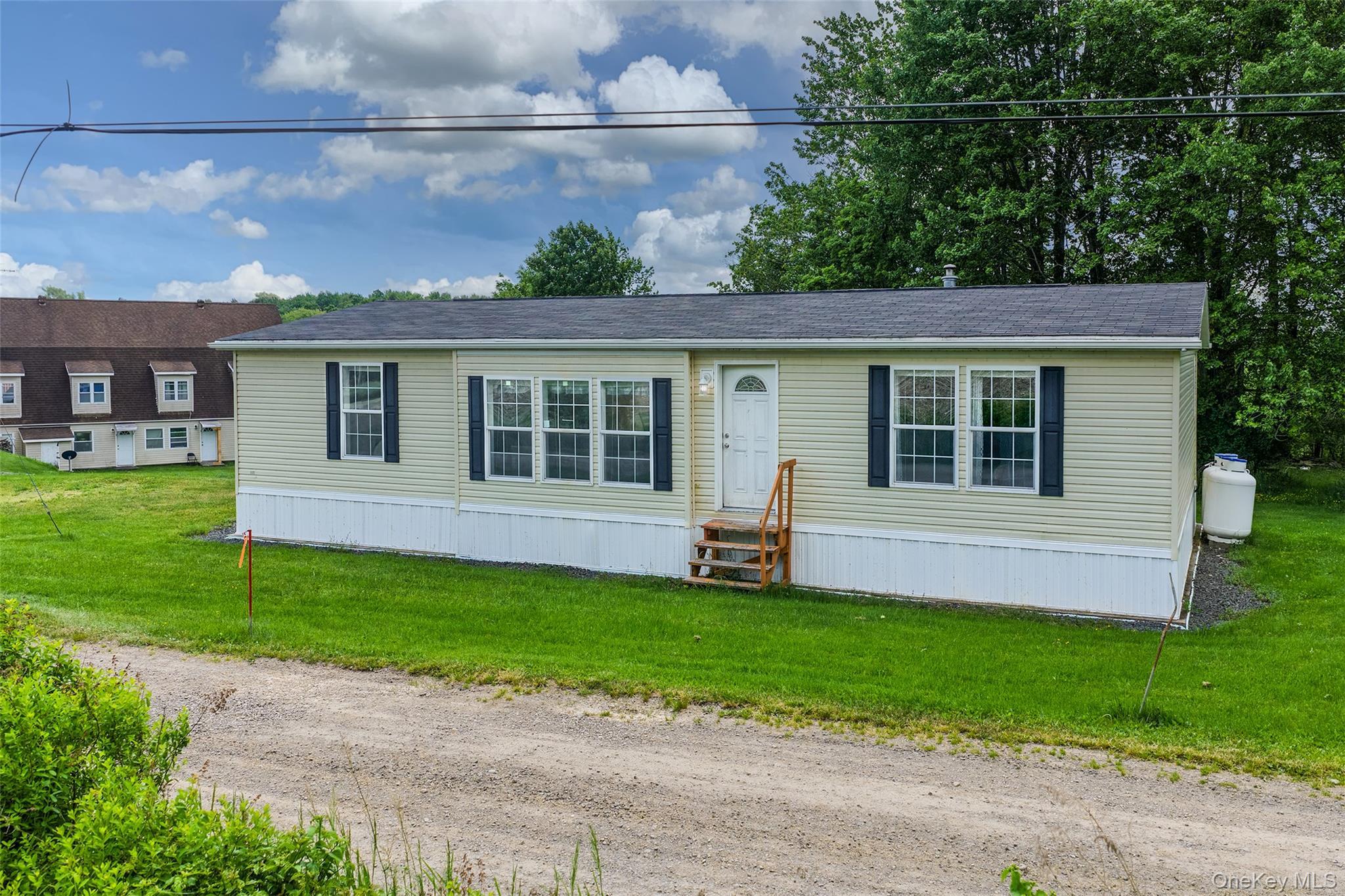 Single Family Fusco Drive Delaware County, NY 12093, MLS-1018416-17