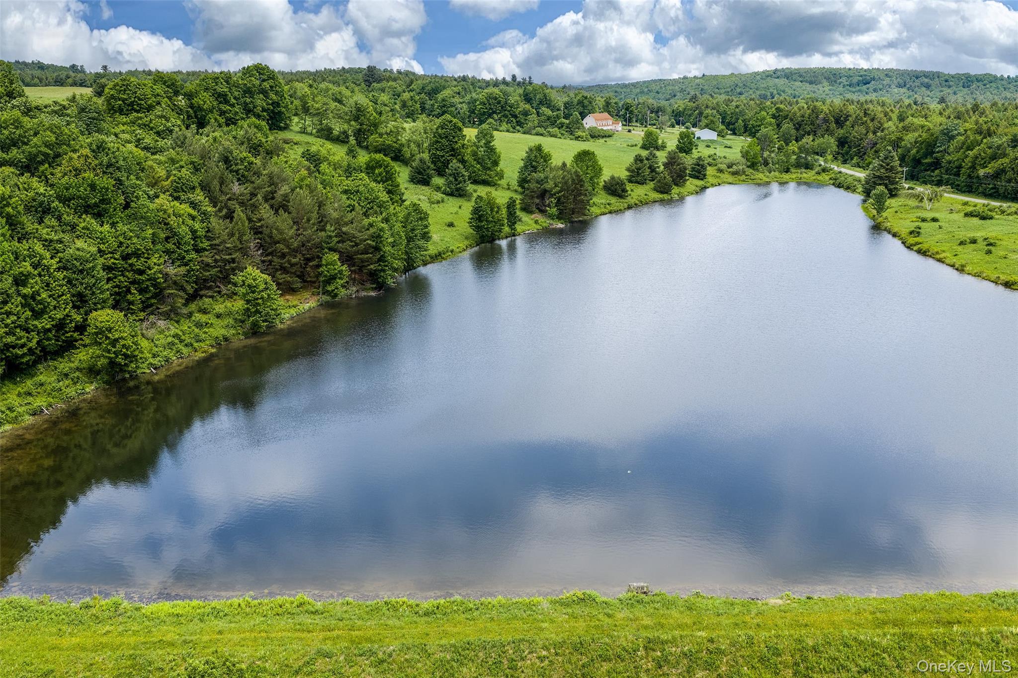 Single Family Fusco Drive Delaware County, NY 12093, MLS-1018416-2