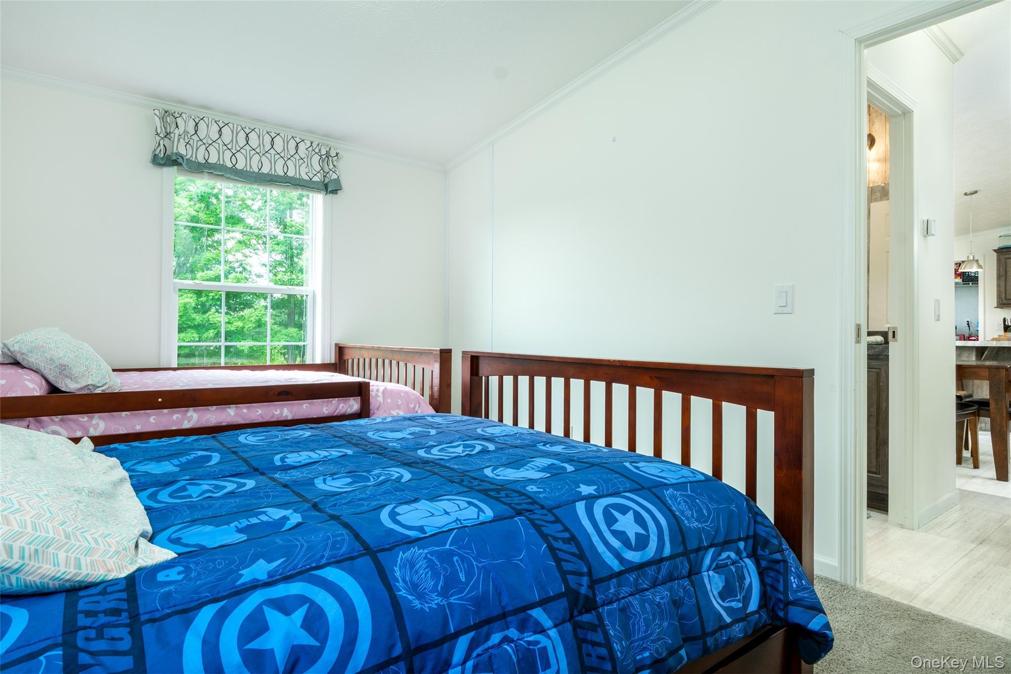 Single Family Fusco Drive Delaware County, NY 12093, MLS-1018416-27