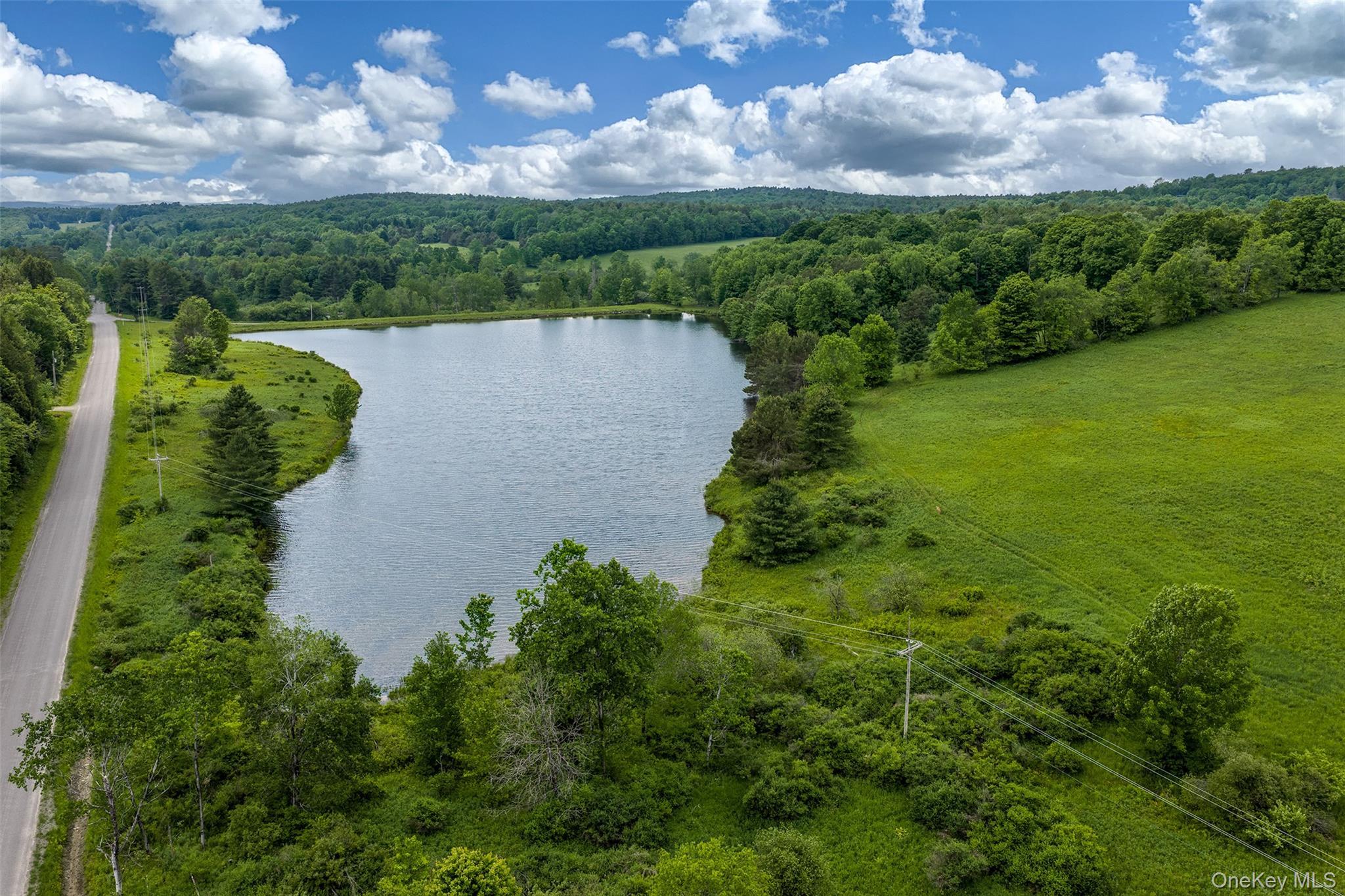 Single Family Fusco Drive Delaware County, NY 12093, MLS-1018416-32