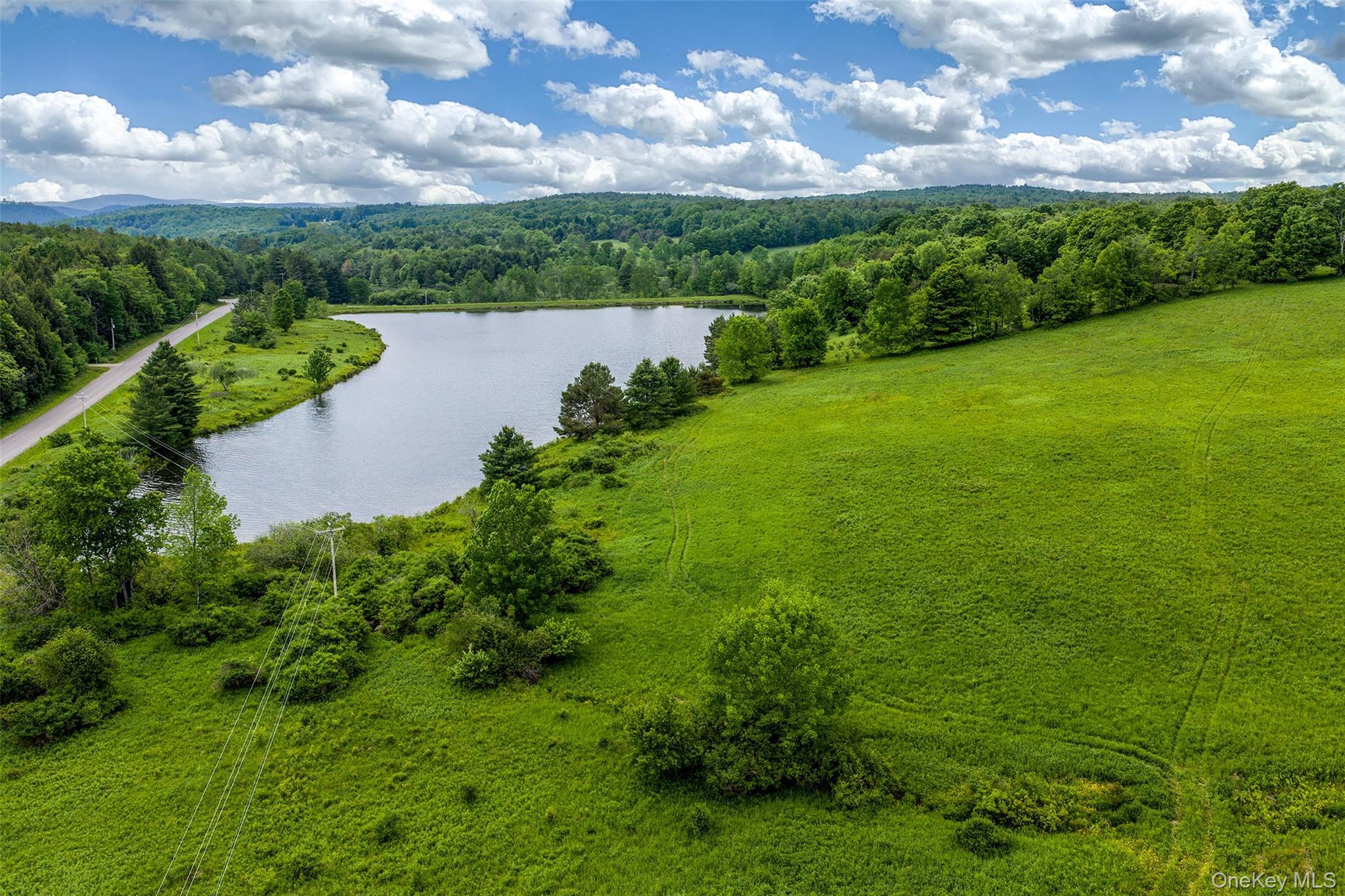 Single Family Fusco Drive Delaware County, NY 12093, MLS-1018416-33