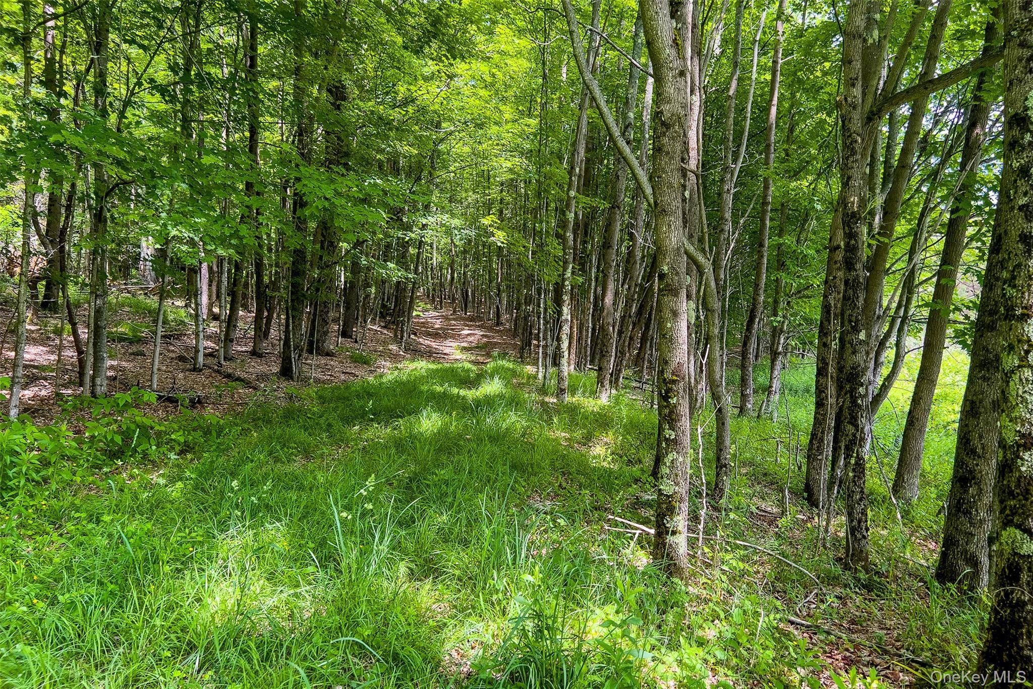 Single Family Fusco Drive Delaware County, NY 12093, MLS-1018416-35