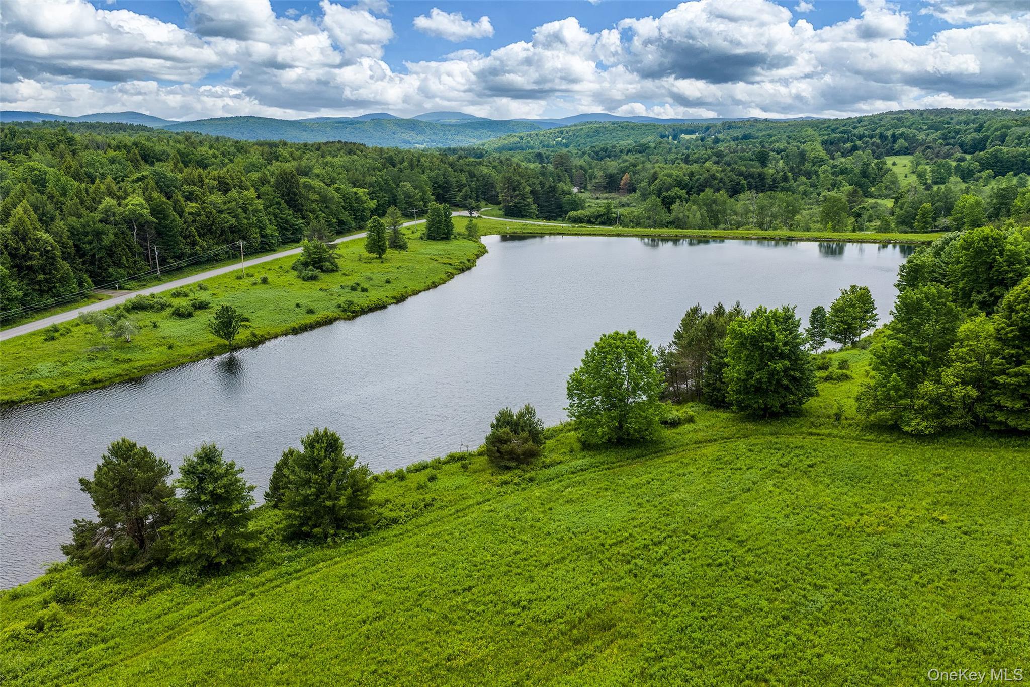 Single Family Fusco Drive Delaware County, NY 12093, MLS-1018416-36