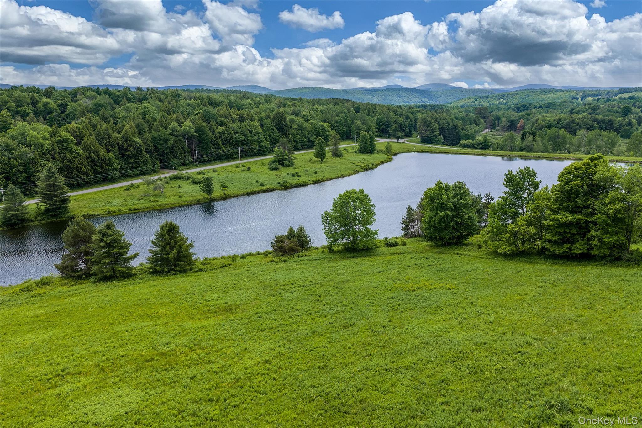 Single Family Fusco Drive Delaware County, NY 12093, MLS-1018416-37