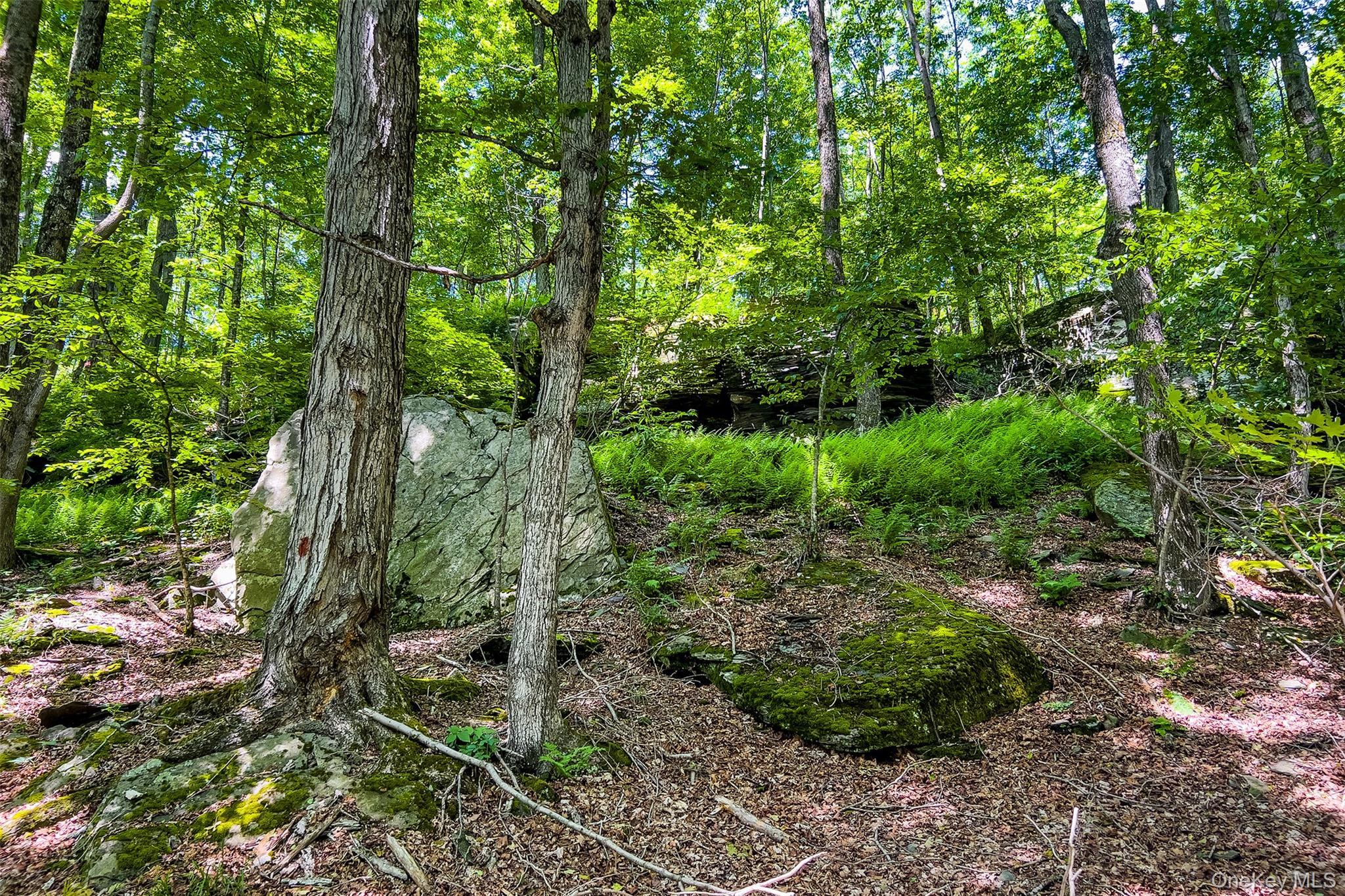 Single Family Fusco Drive Delaware County, NY 12093, MLS-1018416-46