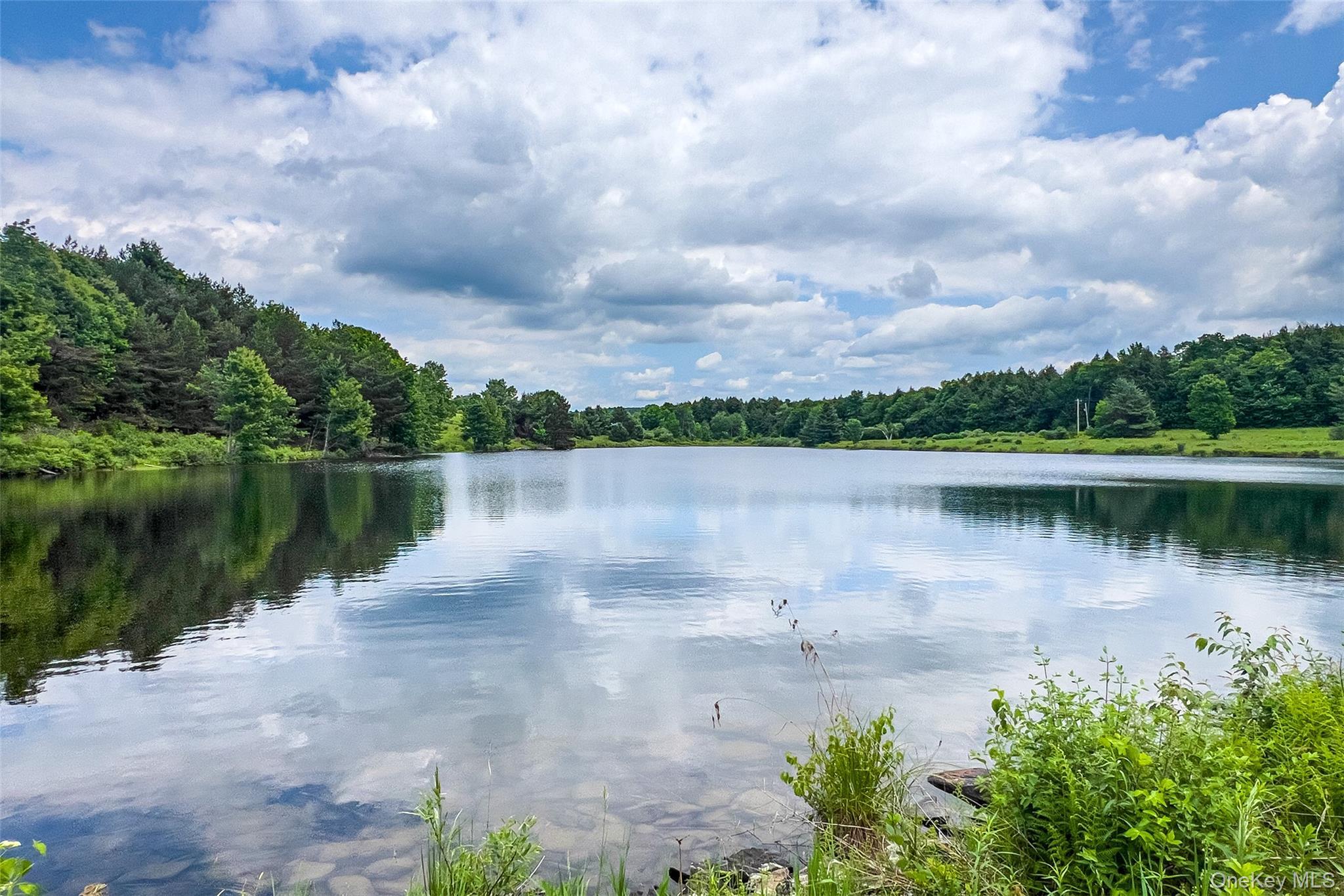 Single Family Fusco Drive Delaware County, NY 12093, MLS-1018416-48