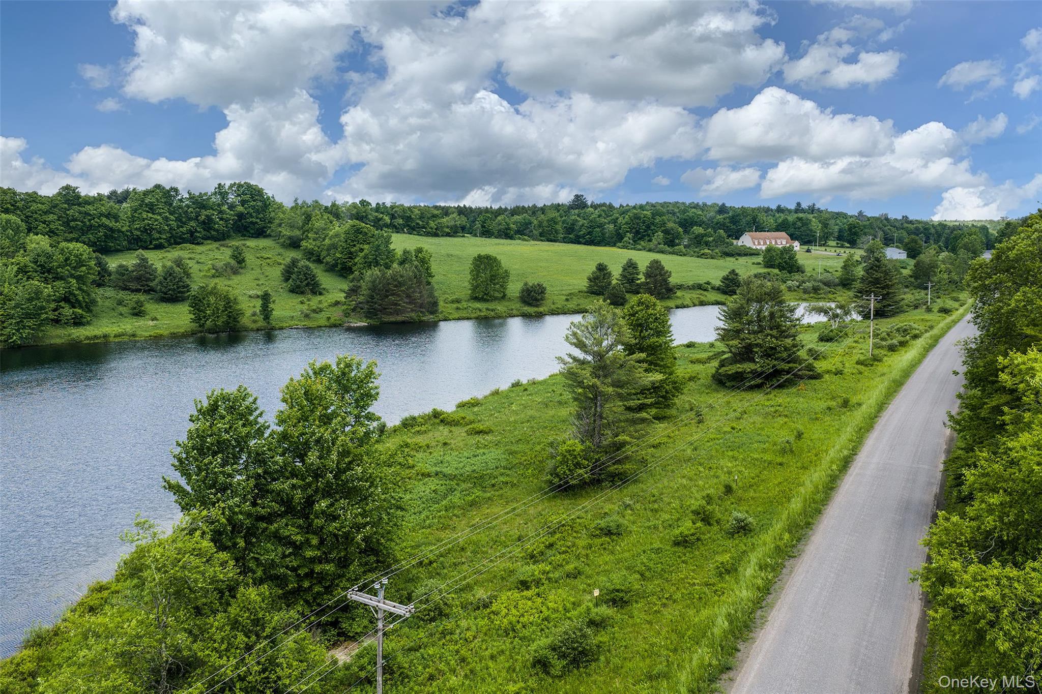 Single Family Fusco Drive Delaware County, NY 12093, MLS-1018416-49