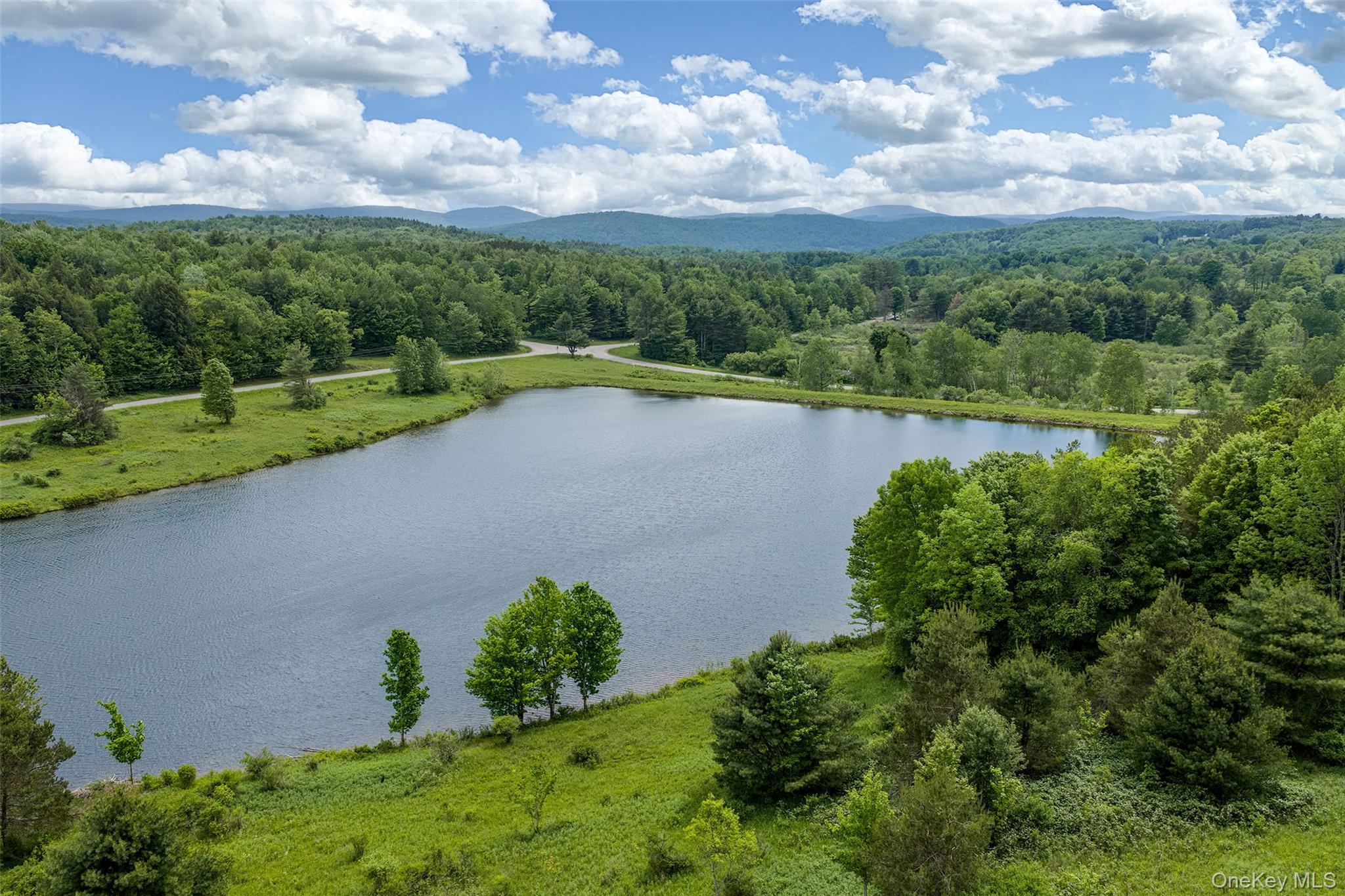 Single Family Fusco Drive Delaware County, NY 12093, MLS-1018416-5