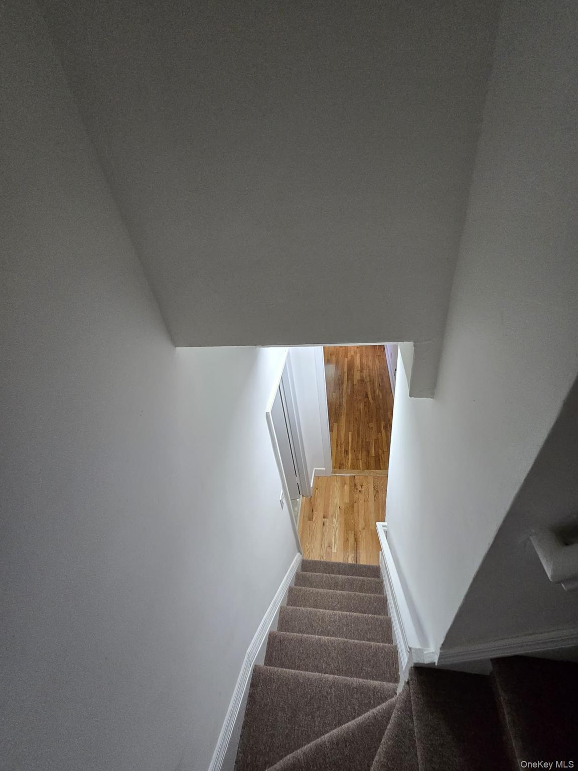 Single Family E 101st Street Brooklyn, NY 11236, MLS-1018424-23