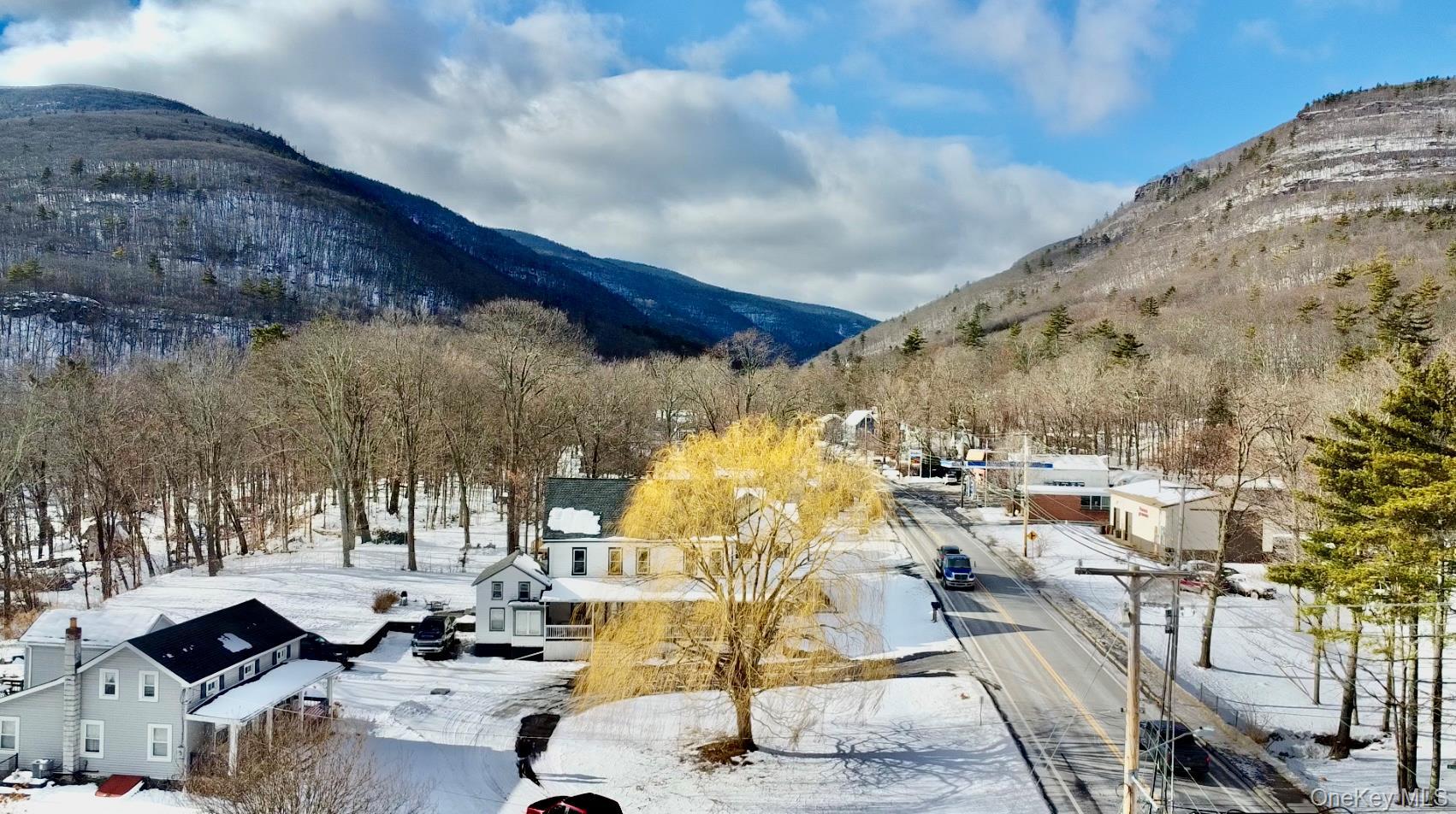 Single Family Rt-23a  Greene County, NY 12414, MLS-1018444-50