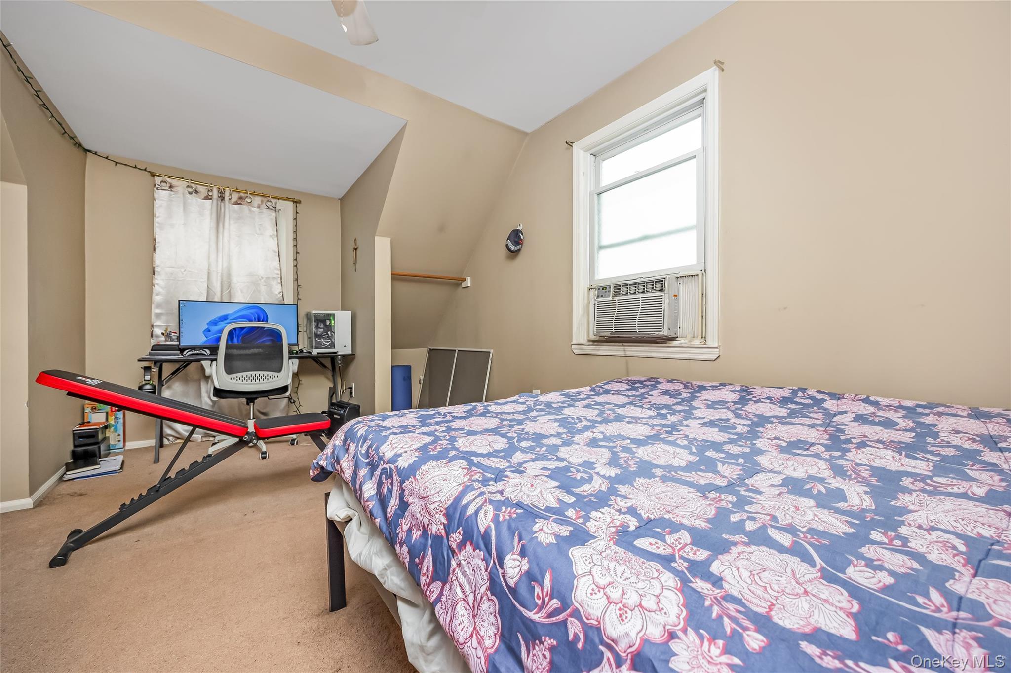 Single Family Haig Road Nassau County, NY 11581, MLS-1018460-8