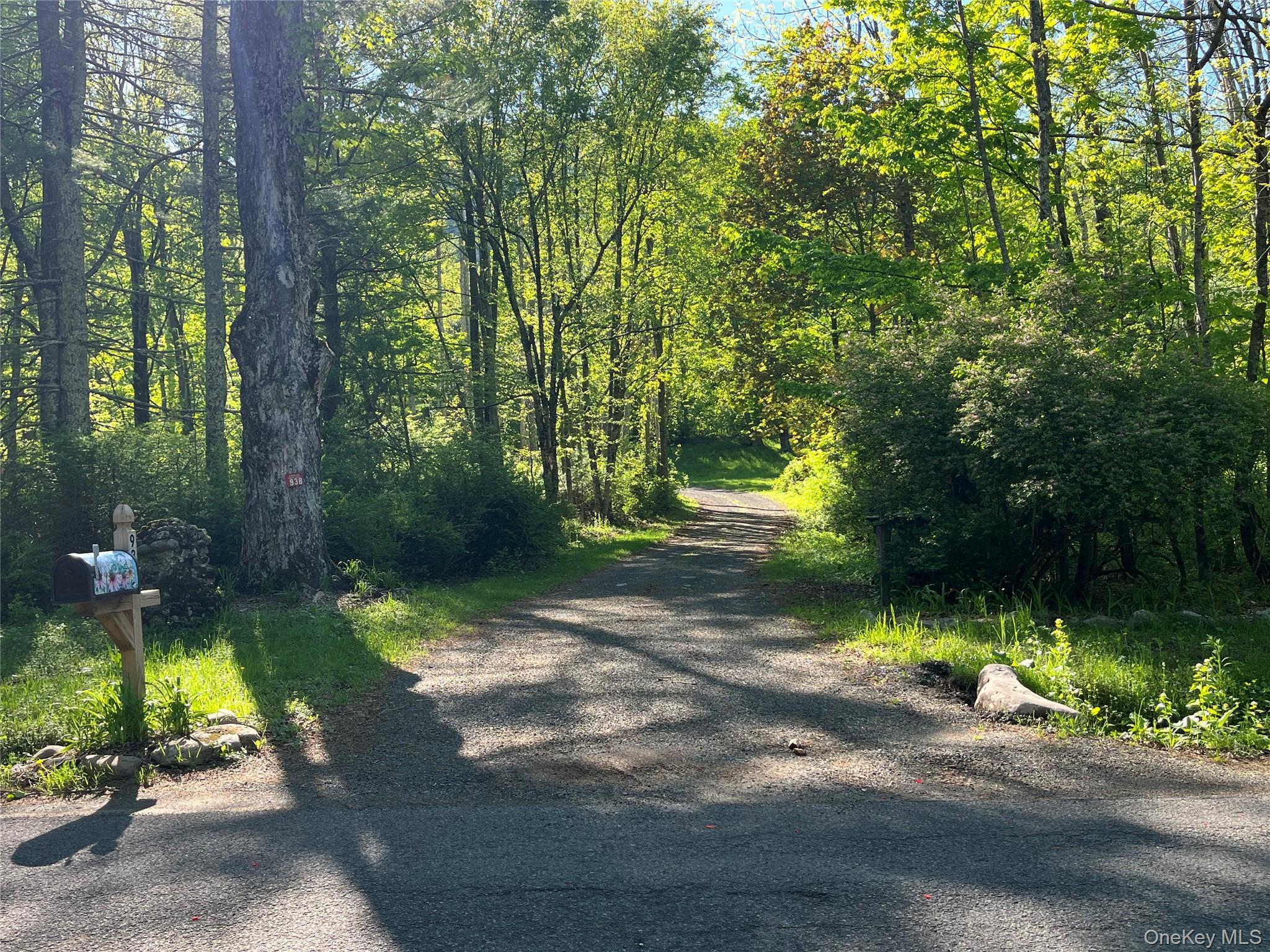 Single Family Woodland Valley Road  Ulster County, NY 12464, MLS-1018490-2
