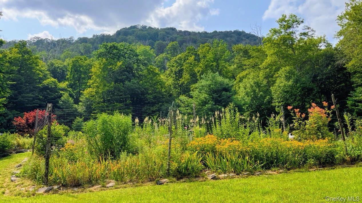 Single Family Woodland Valley Road  Ulster County, NY 12464, MLS-1018490-23
