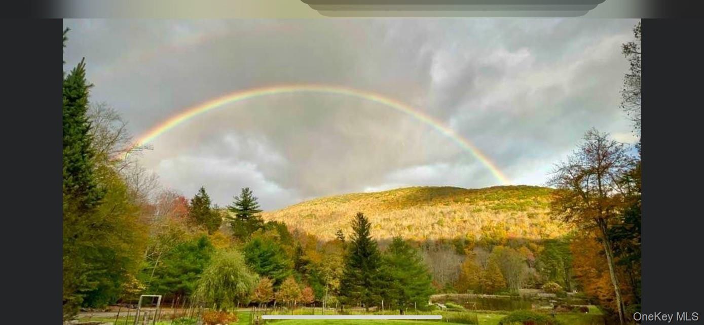 Single Family Woodland Valley Road  Ulster County, NY 12464, MLS-1018490-27