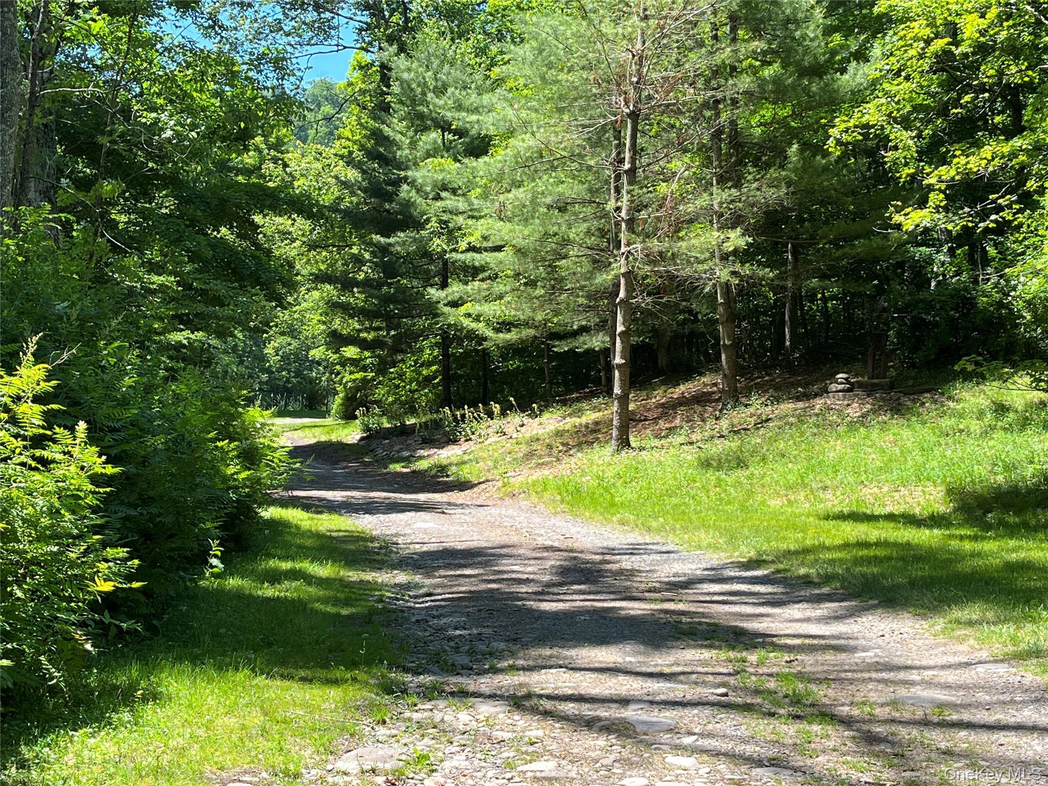 Single Family Woodland Valley Road  Ulster County, NY 12464, MLS-1018490-3