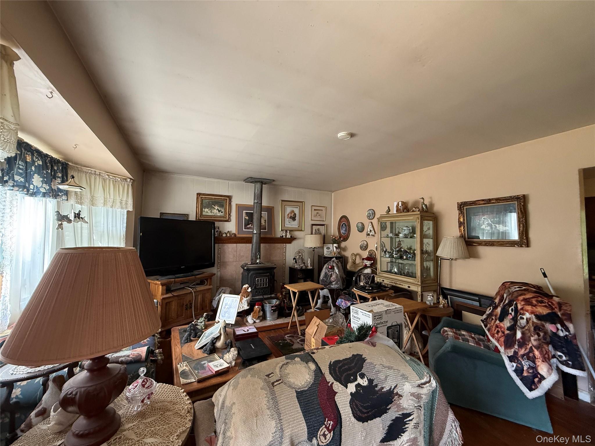 Single Family Union Avenue Suffolk County, NY 11772, MLS-1018495-4