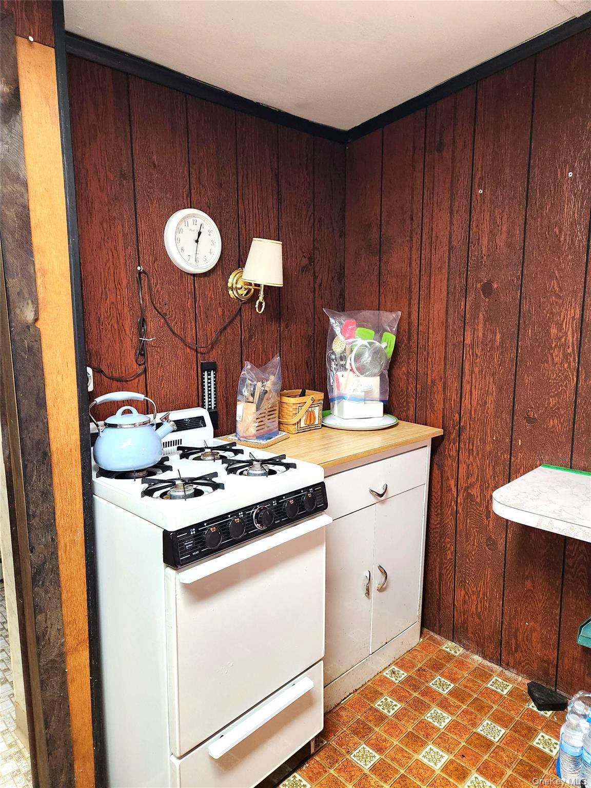 Single Family Eldridge Street S Sullivan County, NY 12778, MLS-1018533-15