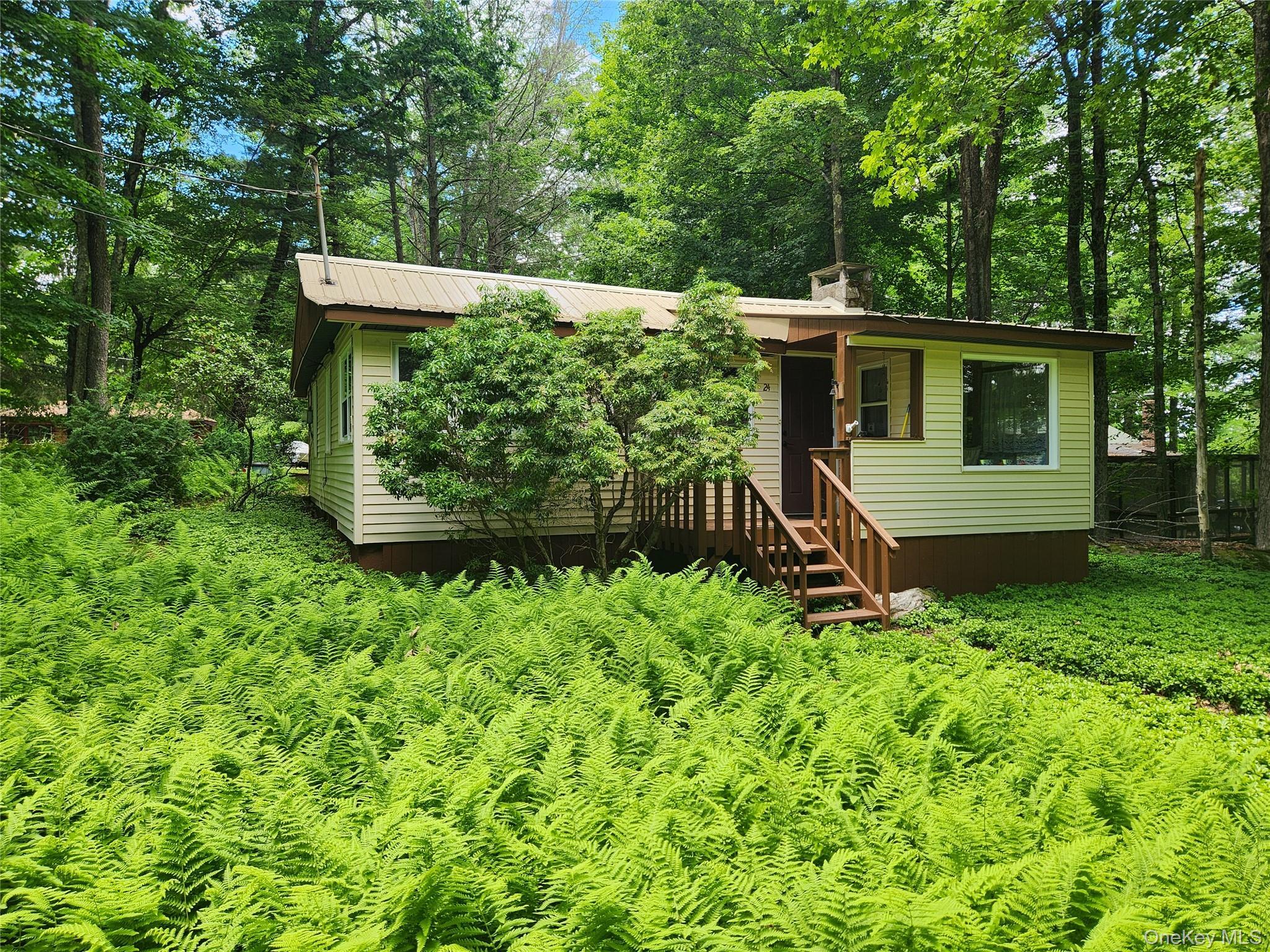 Single Family Eldridge Street S Sullivan County, NY 12778, MLS-1018533-21