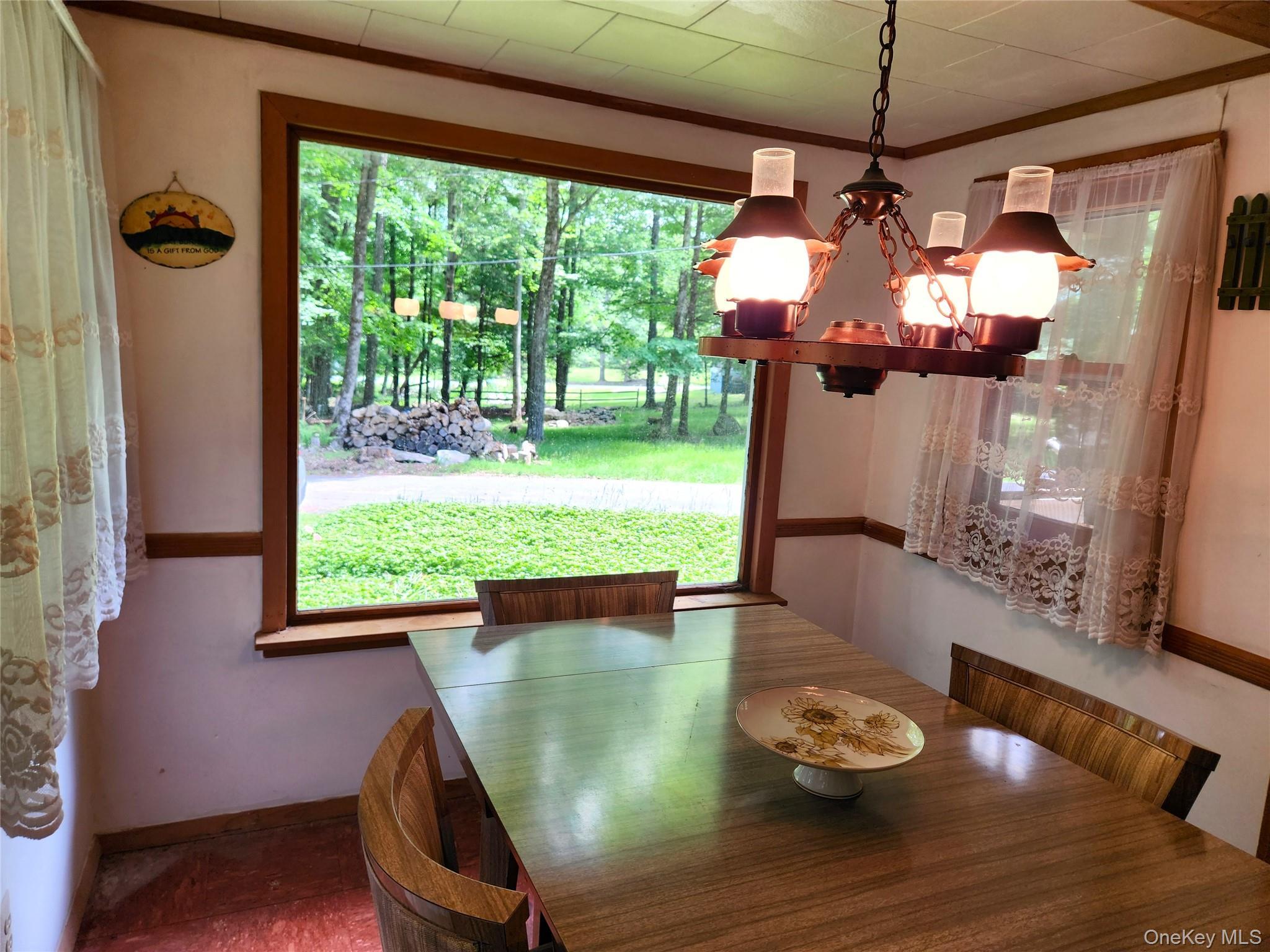 Single Family Eldridge Street S Sullivan County, NY 12778, MLS-1018533-5