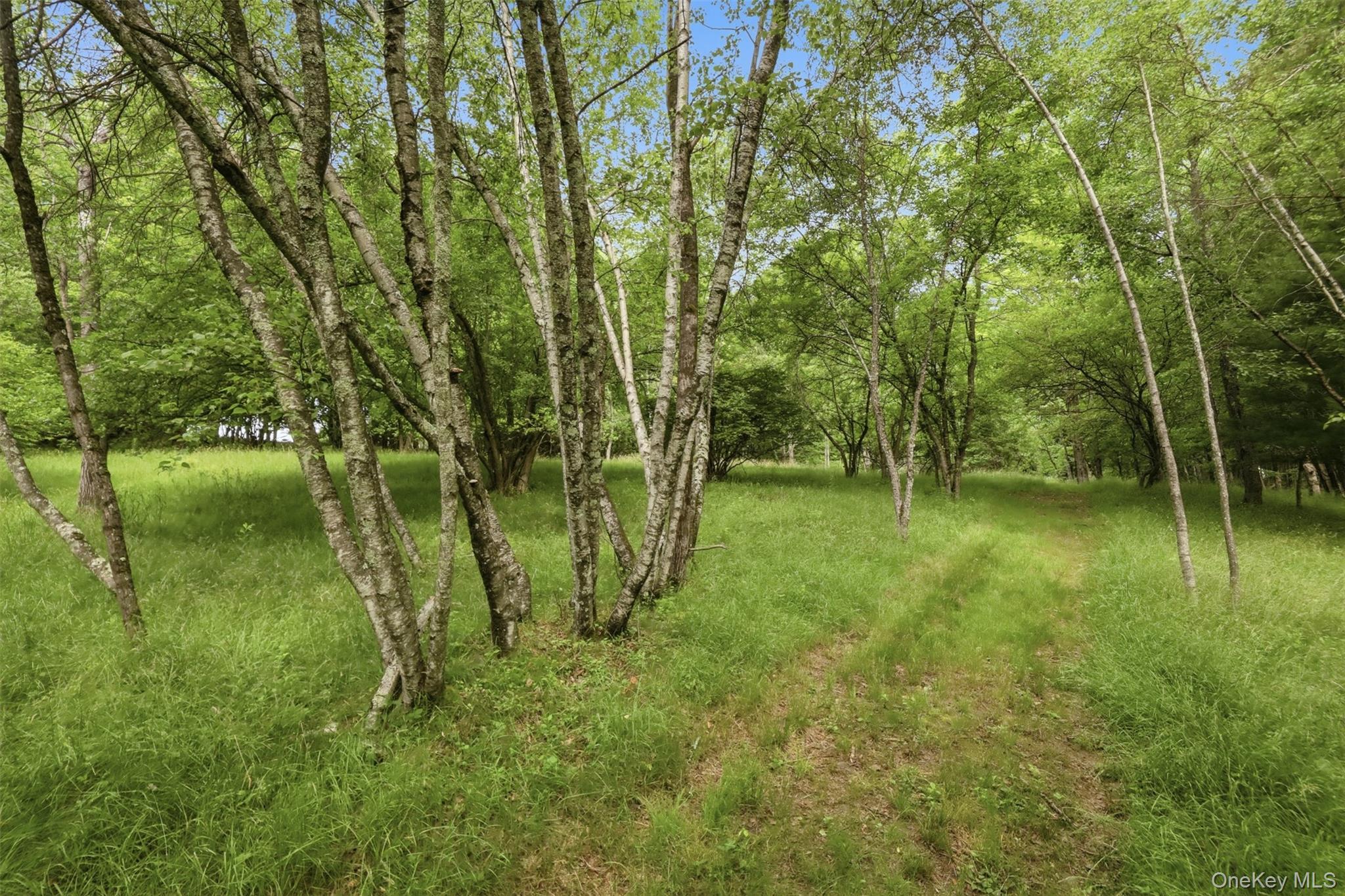 Single Family Cold Spring Road Sullivan County, NY 12754, MLS-1018544-24