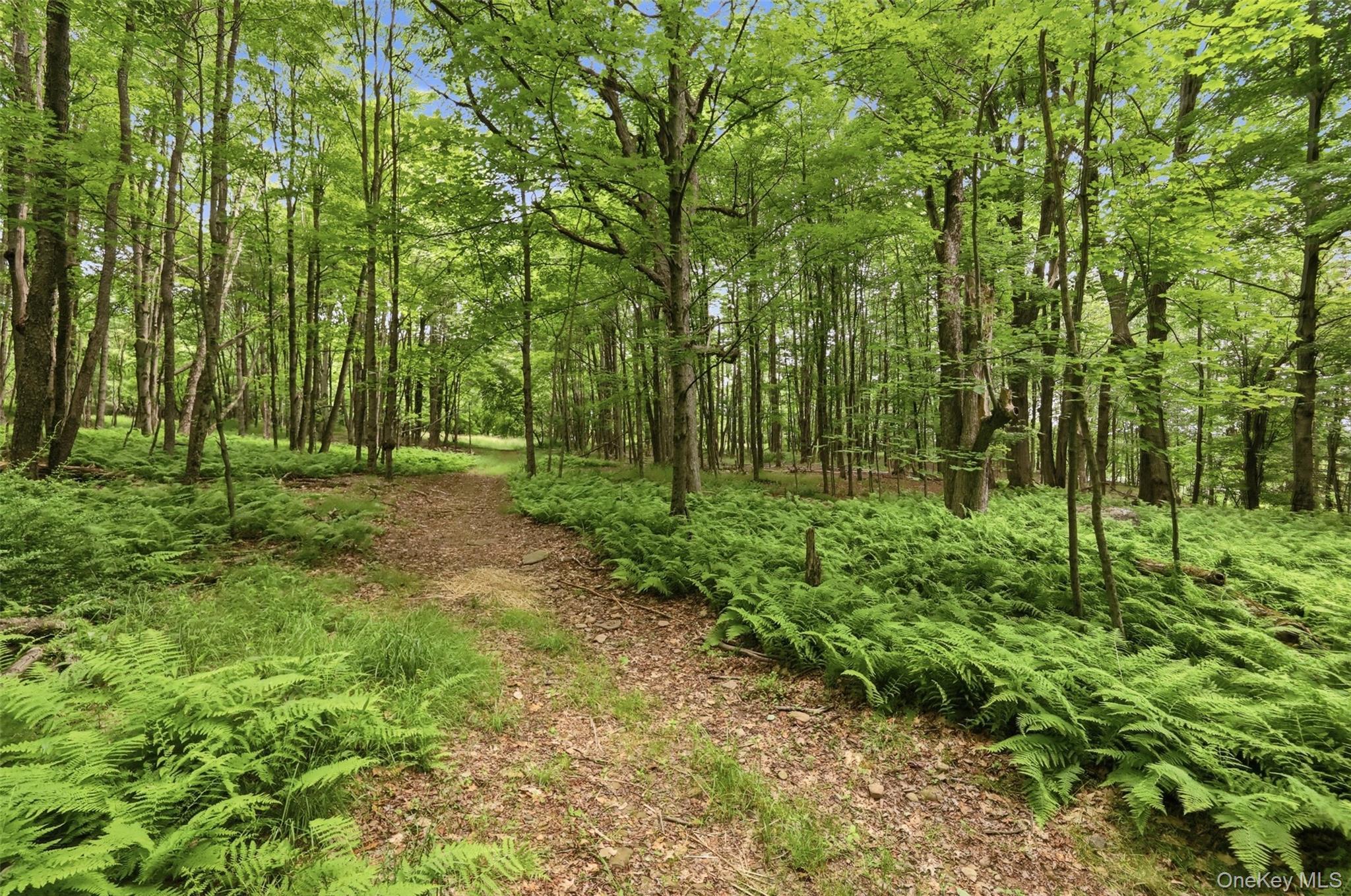 Single Family Cold Spring Road Sullivan County, NY 12754, MLS-1018544-25