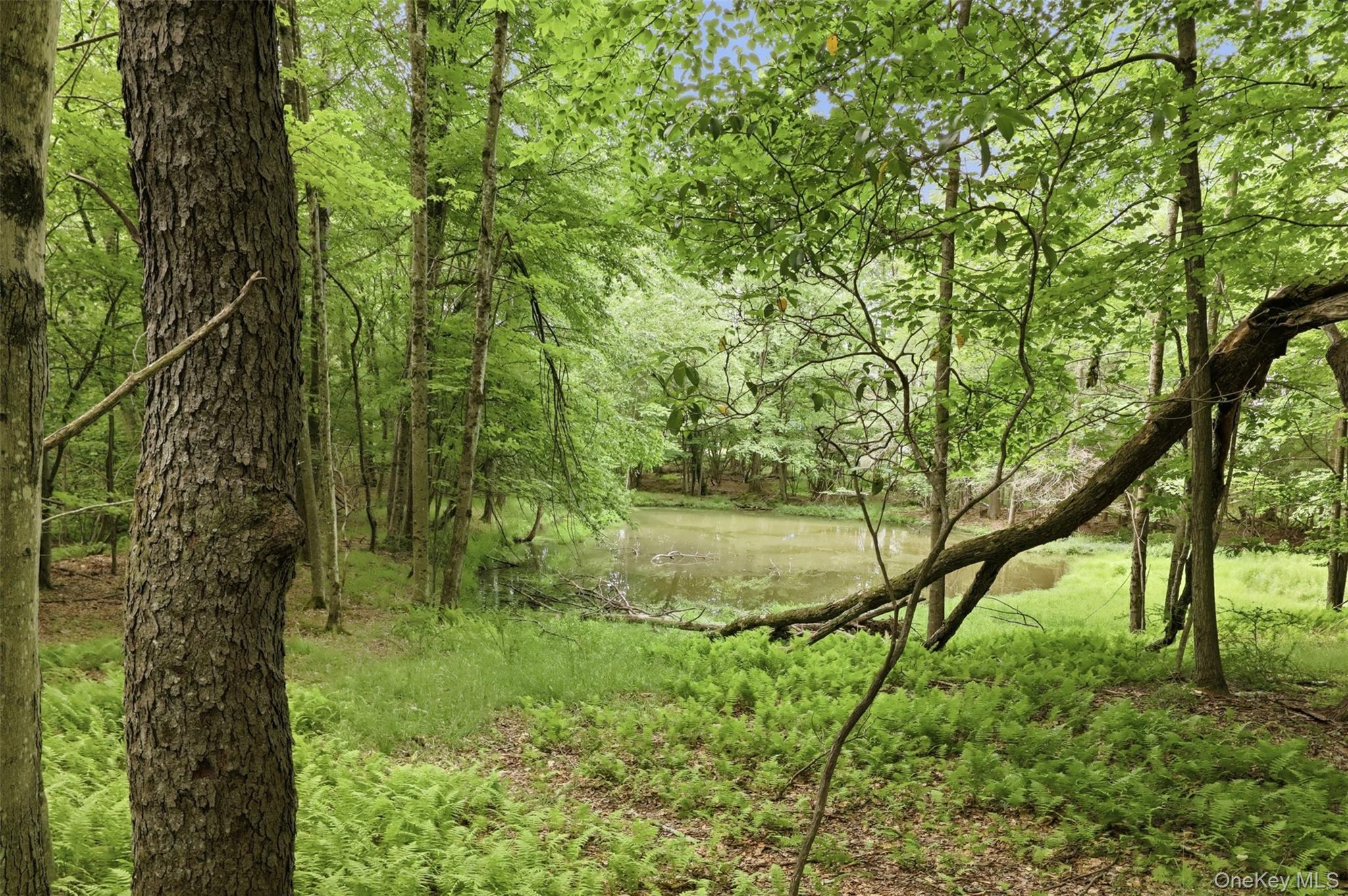 Single Family Cold Spring Road Sullivan County, NY 12754, MLS-1018544-26