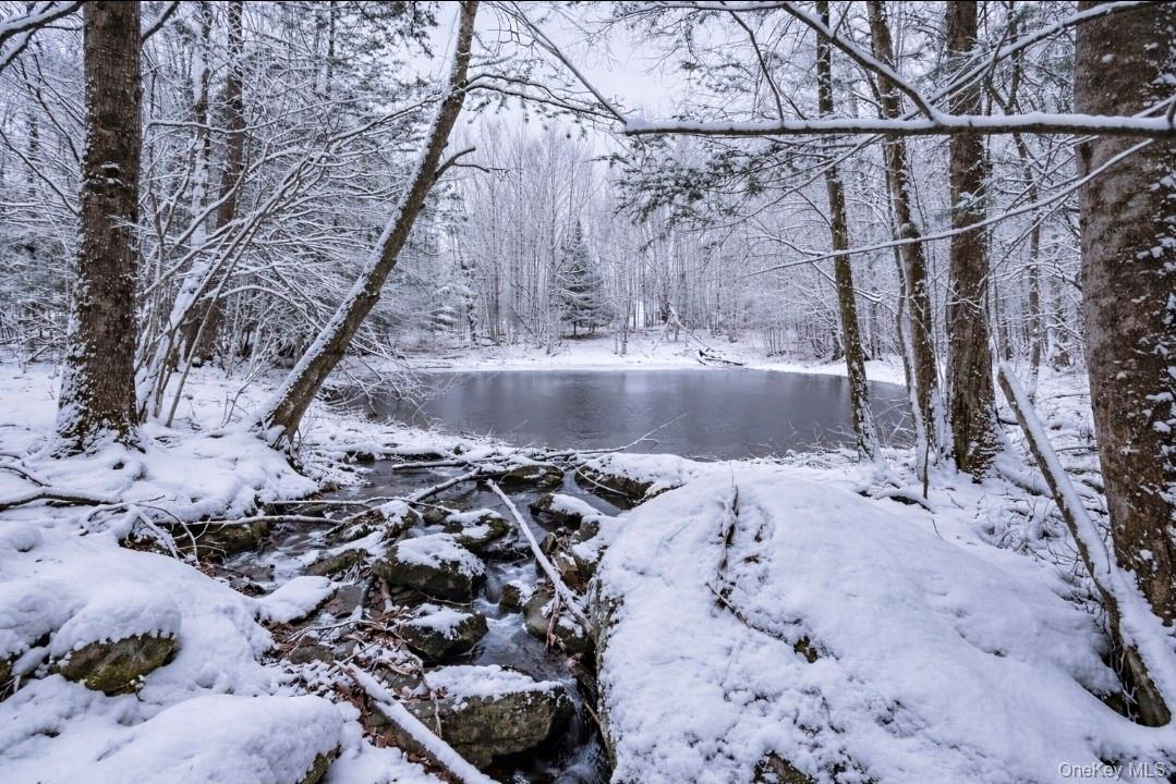 Single Family Cold Spring Road Sullivan County, NY 12754, MLS-1018544-27